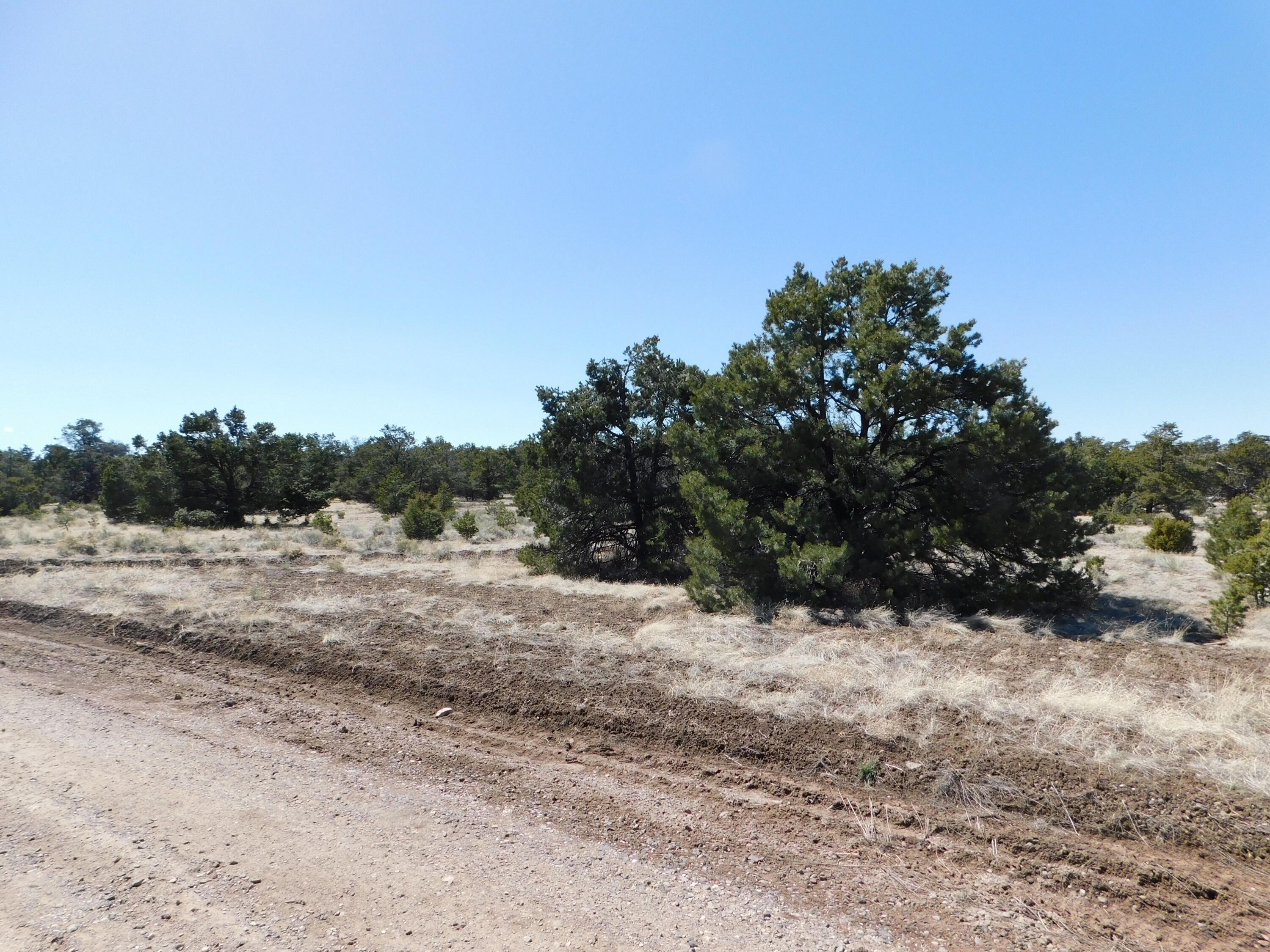 Photo 14 — Lot 70 Creekside Drive
