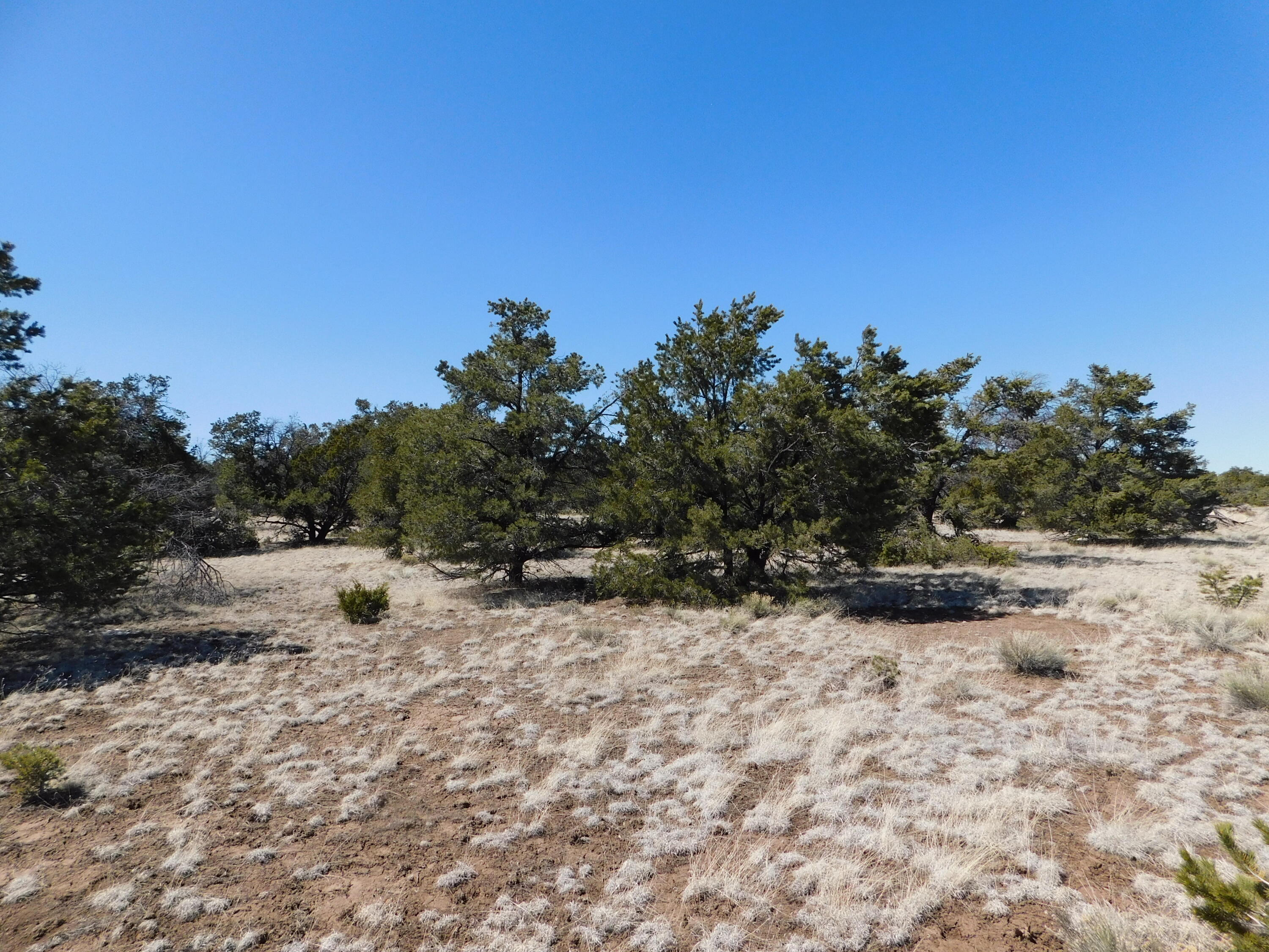 Photo 13 — Lot 70 Creekside Drive