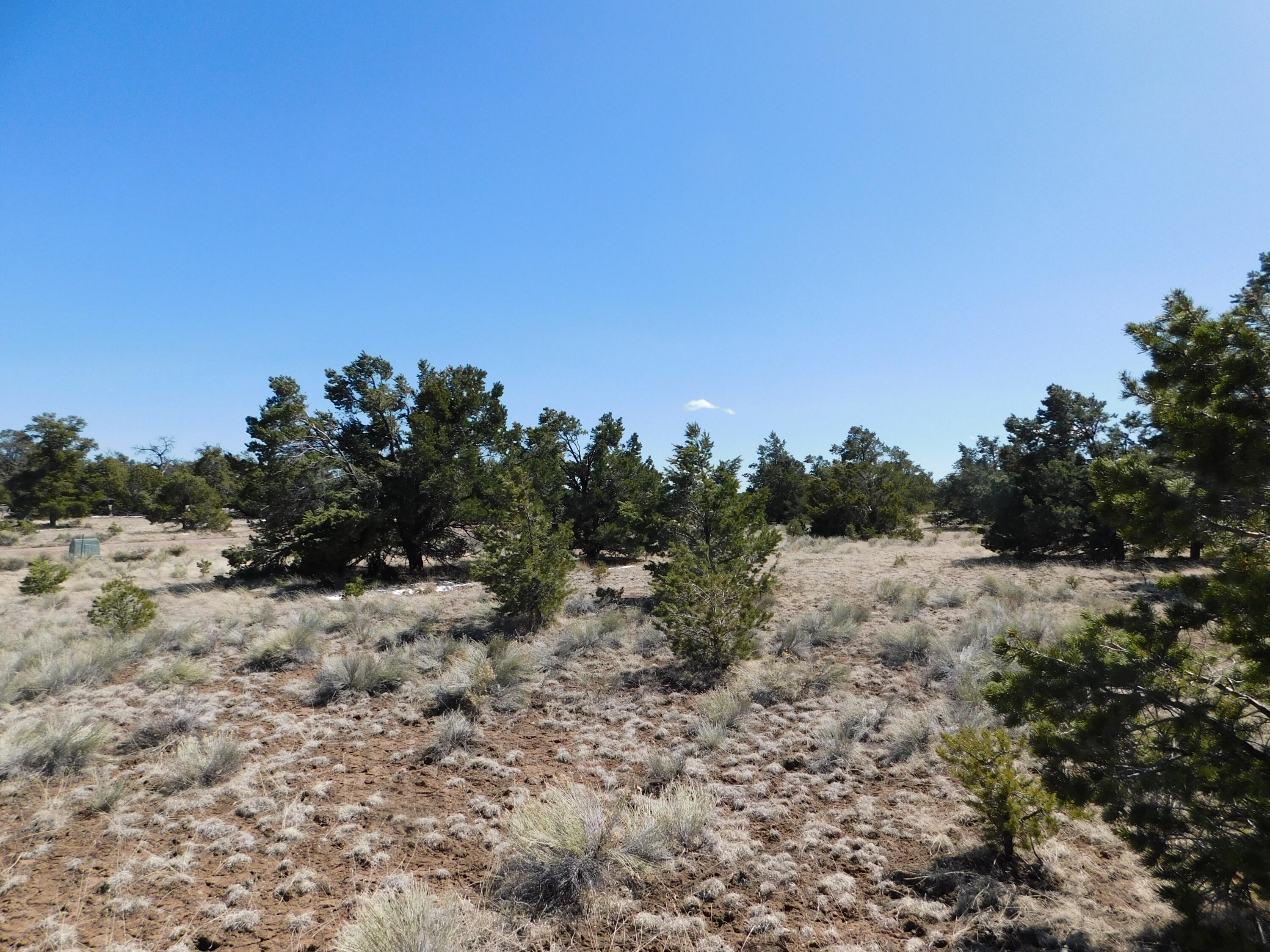 Photo 12 — Lot 70 Creekside Drive