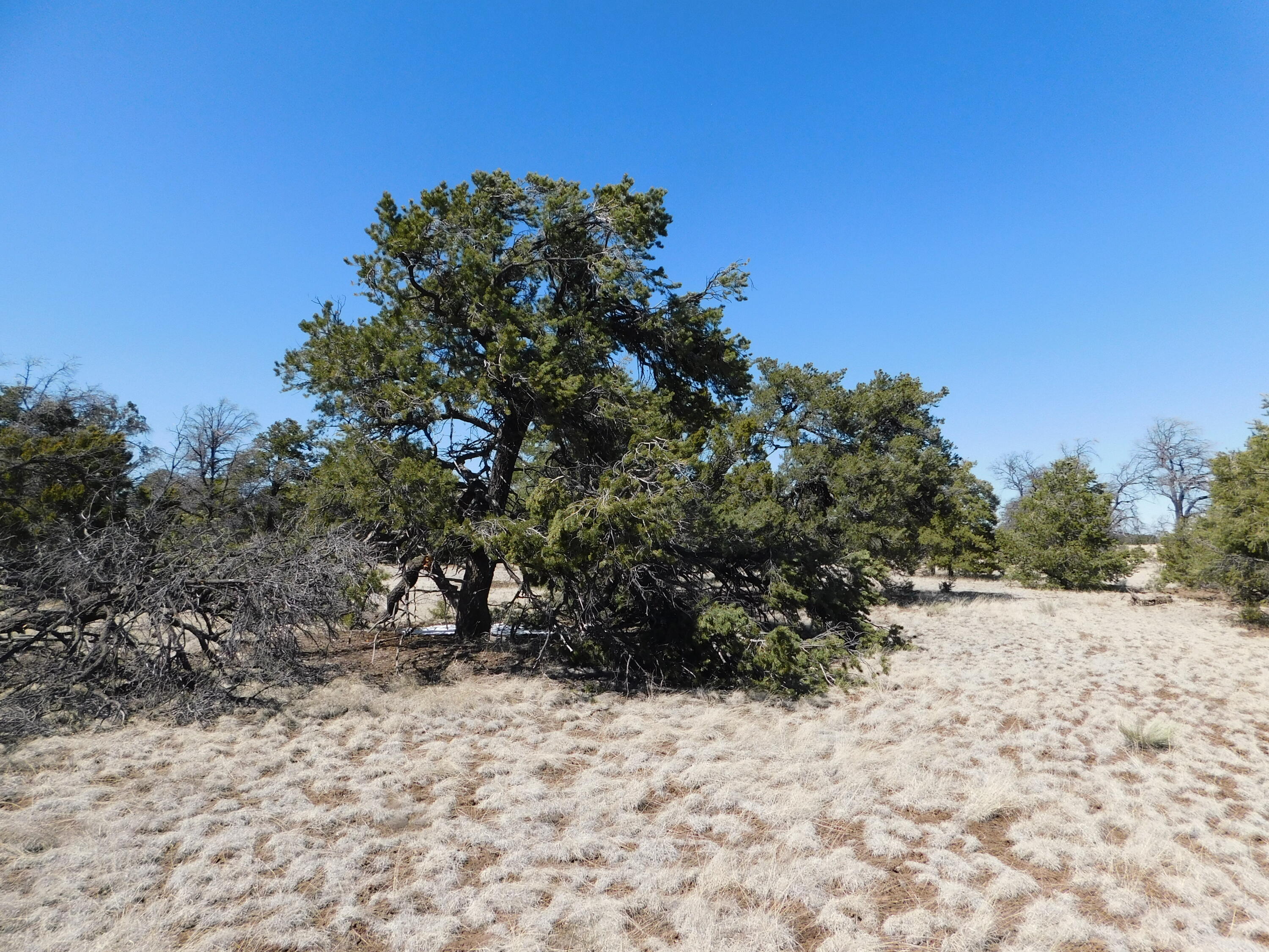 Photo 11 — Lot 70 Creekside Drive