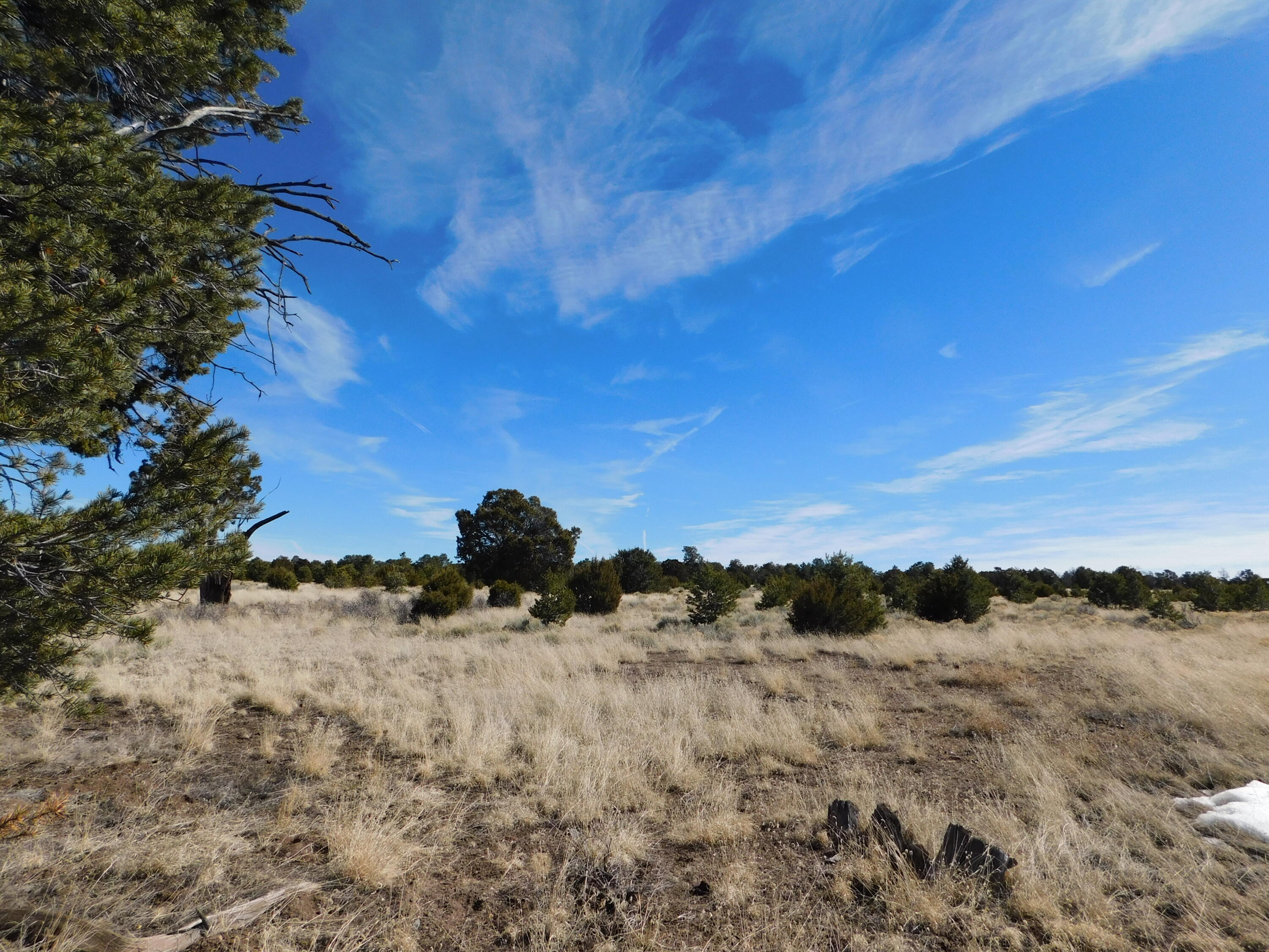 Photo 6 — Lot 38a Agua Fria Loop