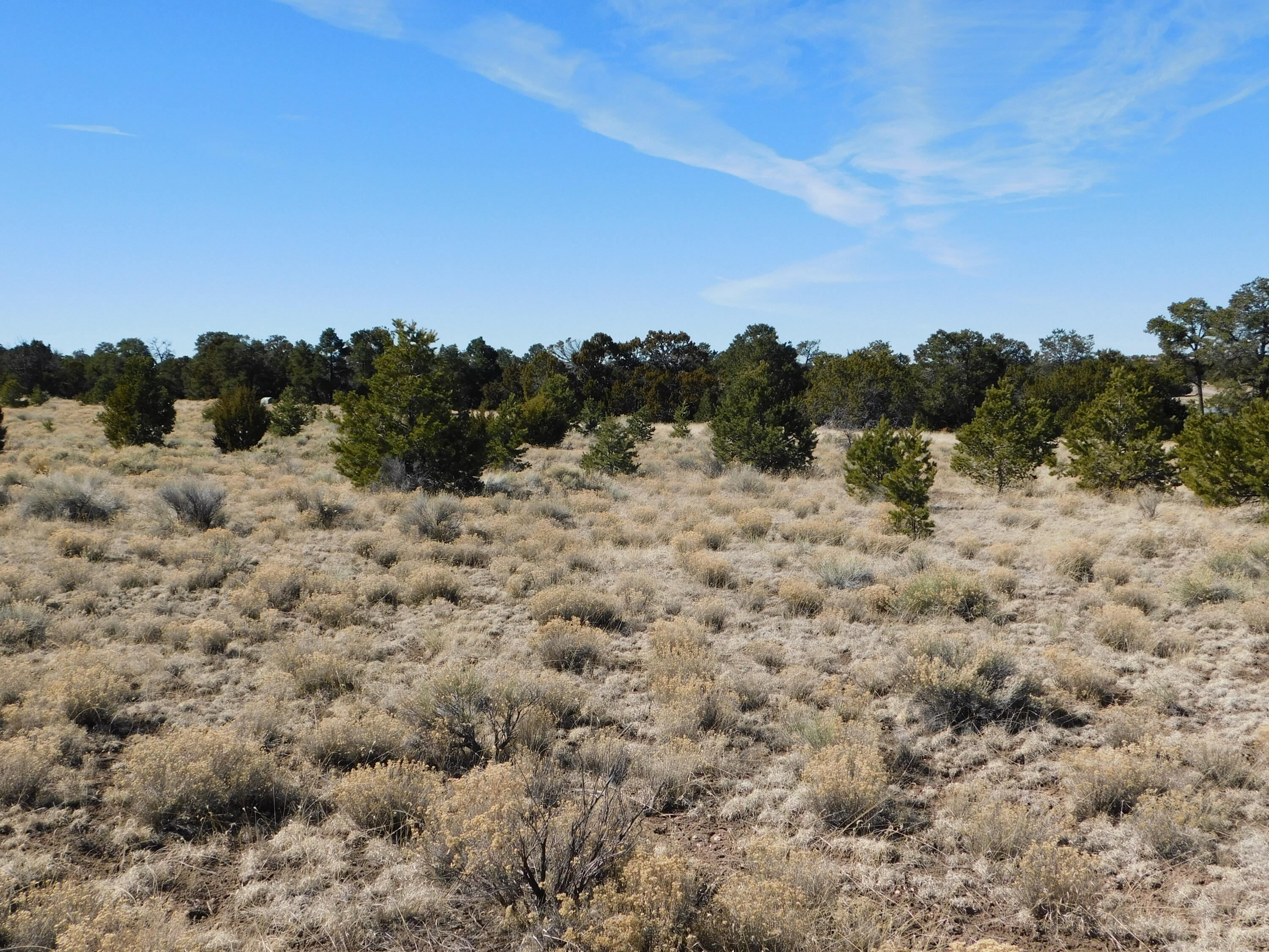 Photo 5 — Lot 38a Agua Fria Loop