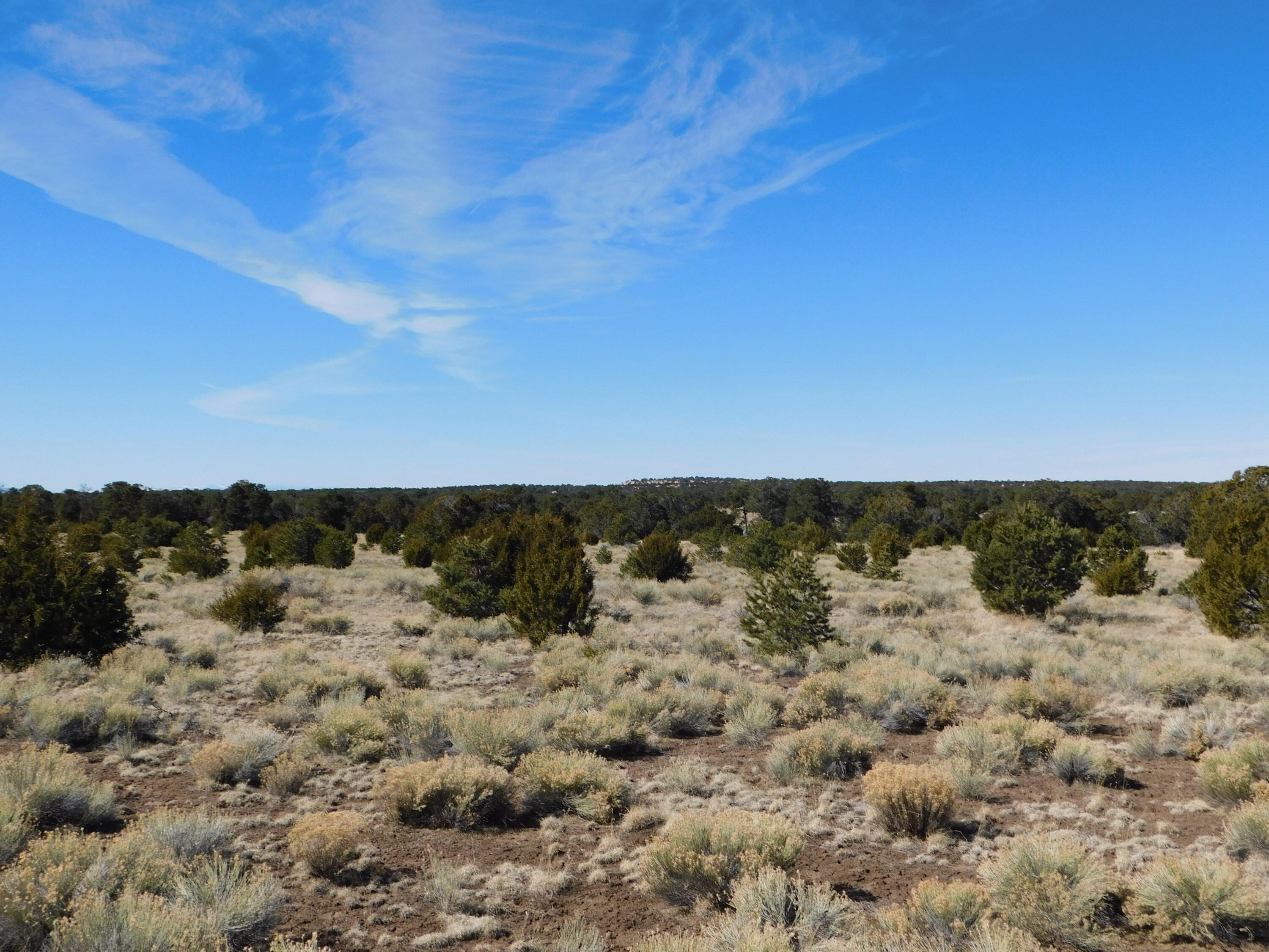 Photo 4 — Lot 38a Agua Fria Loop