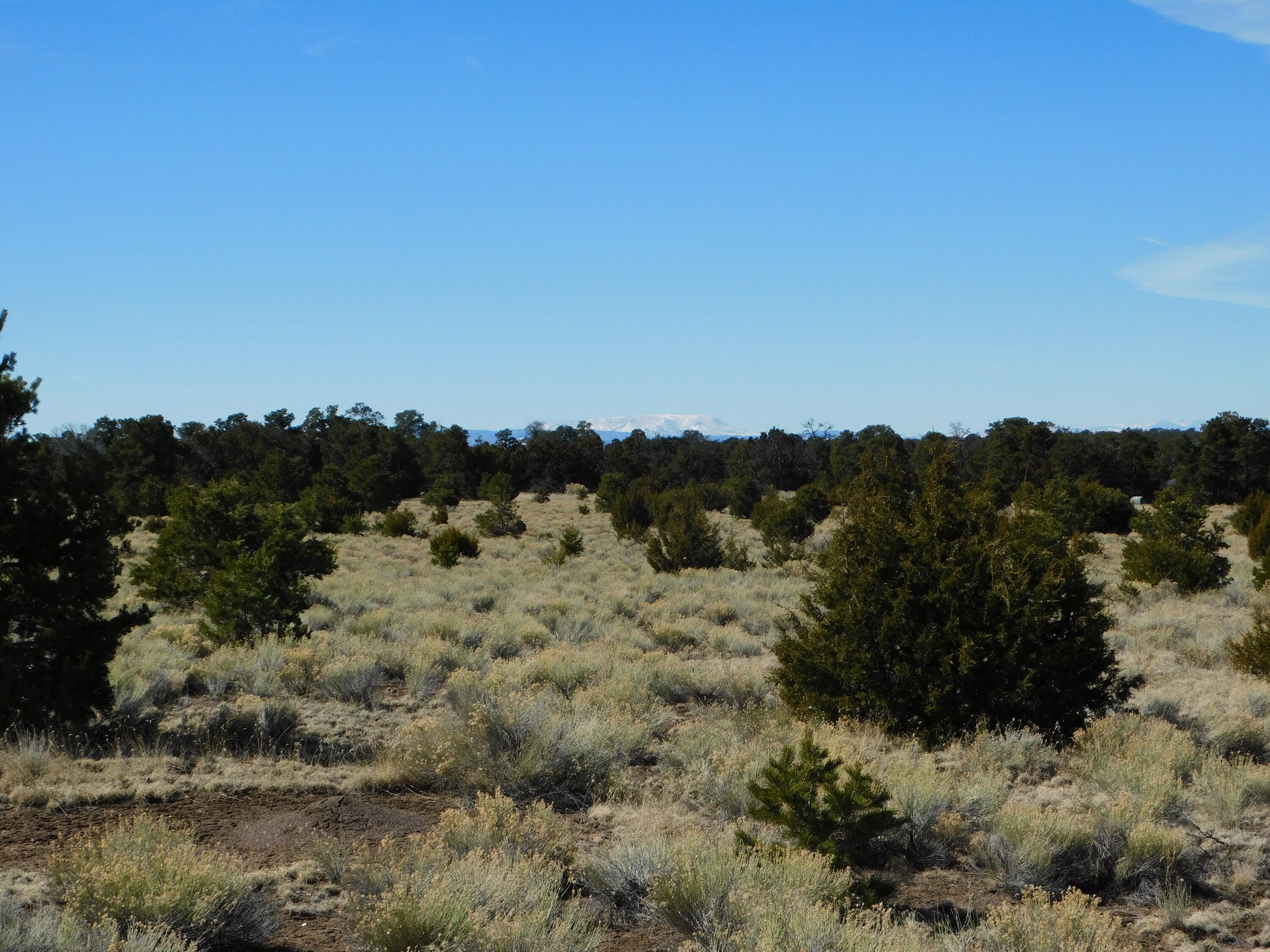 Photo 3 — Lot 38a Agua Fria Loop