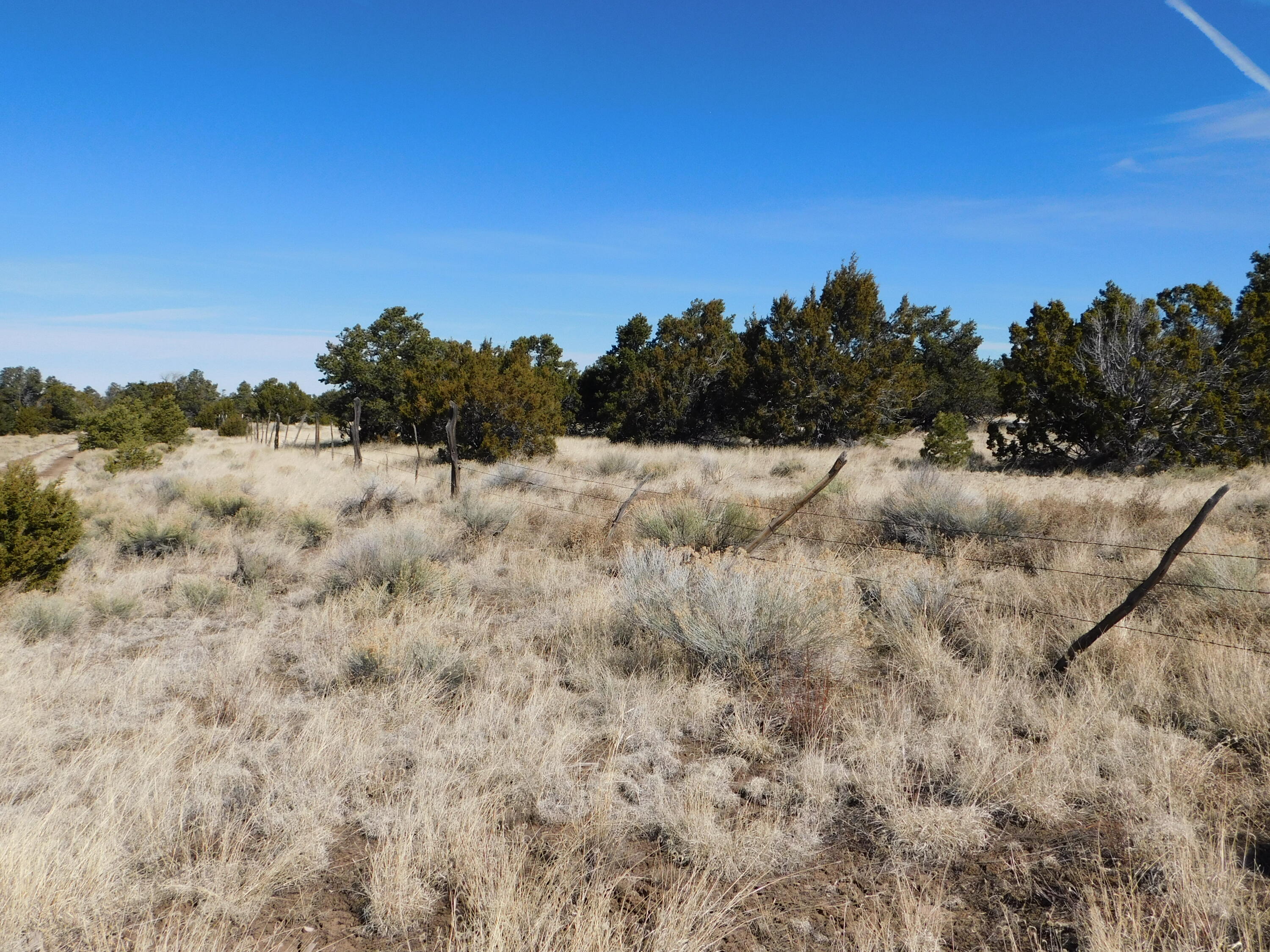 Photo 14 — Lot 38a Agua Fria Loop