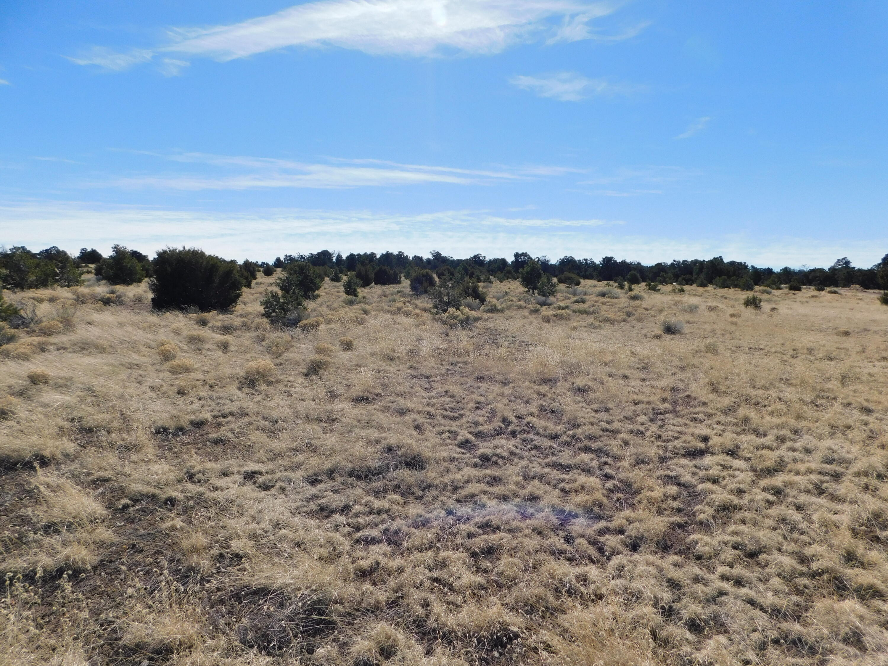 Photo 11 — Lot 38a Agua Fria Loop