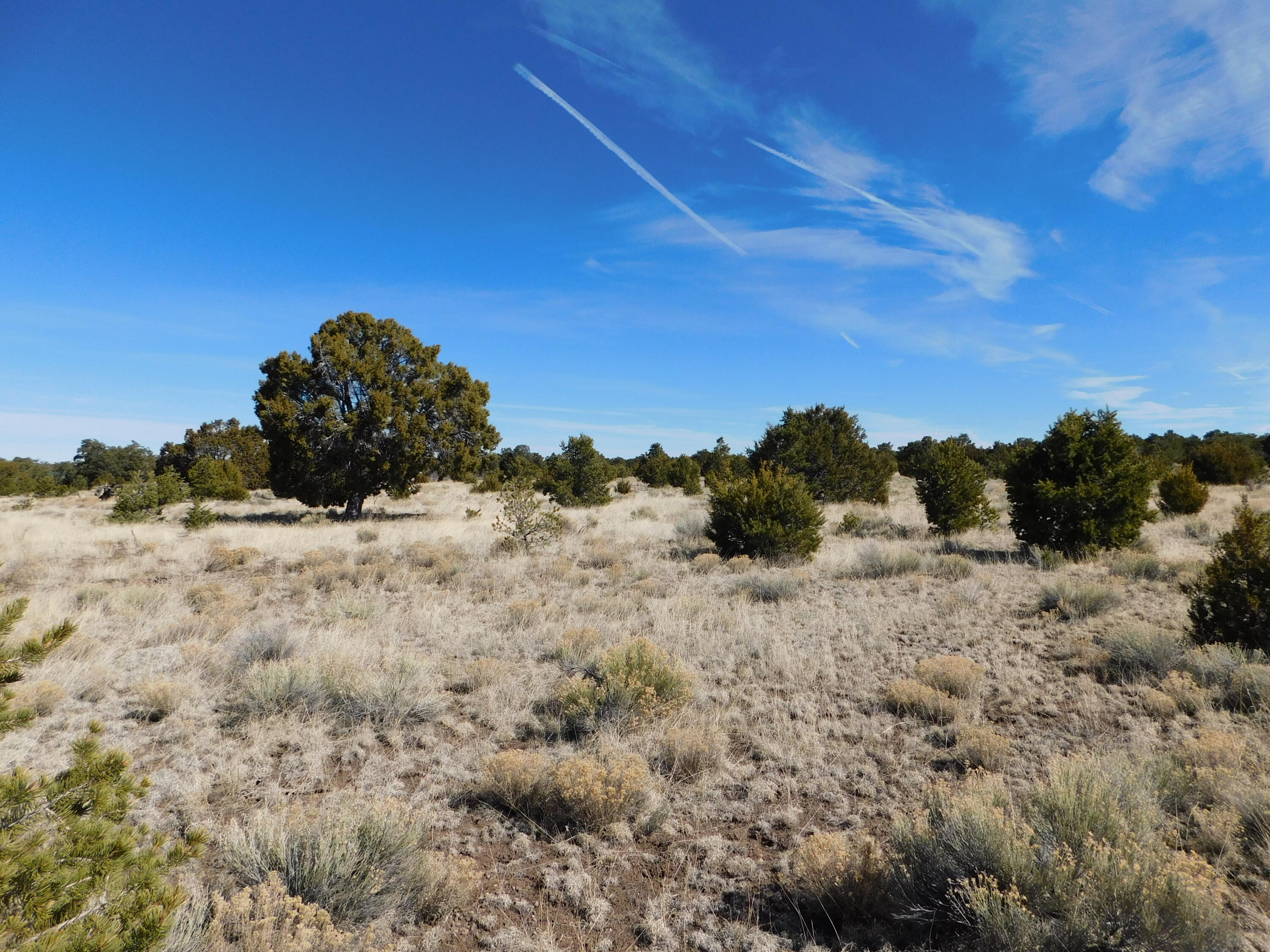 Photo 10 — Lot 38a Agua Fria Loop