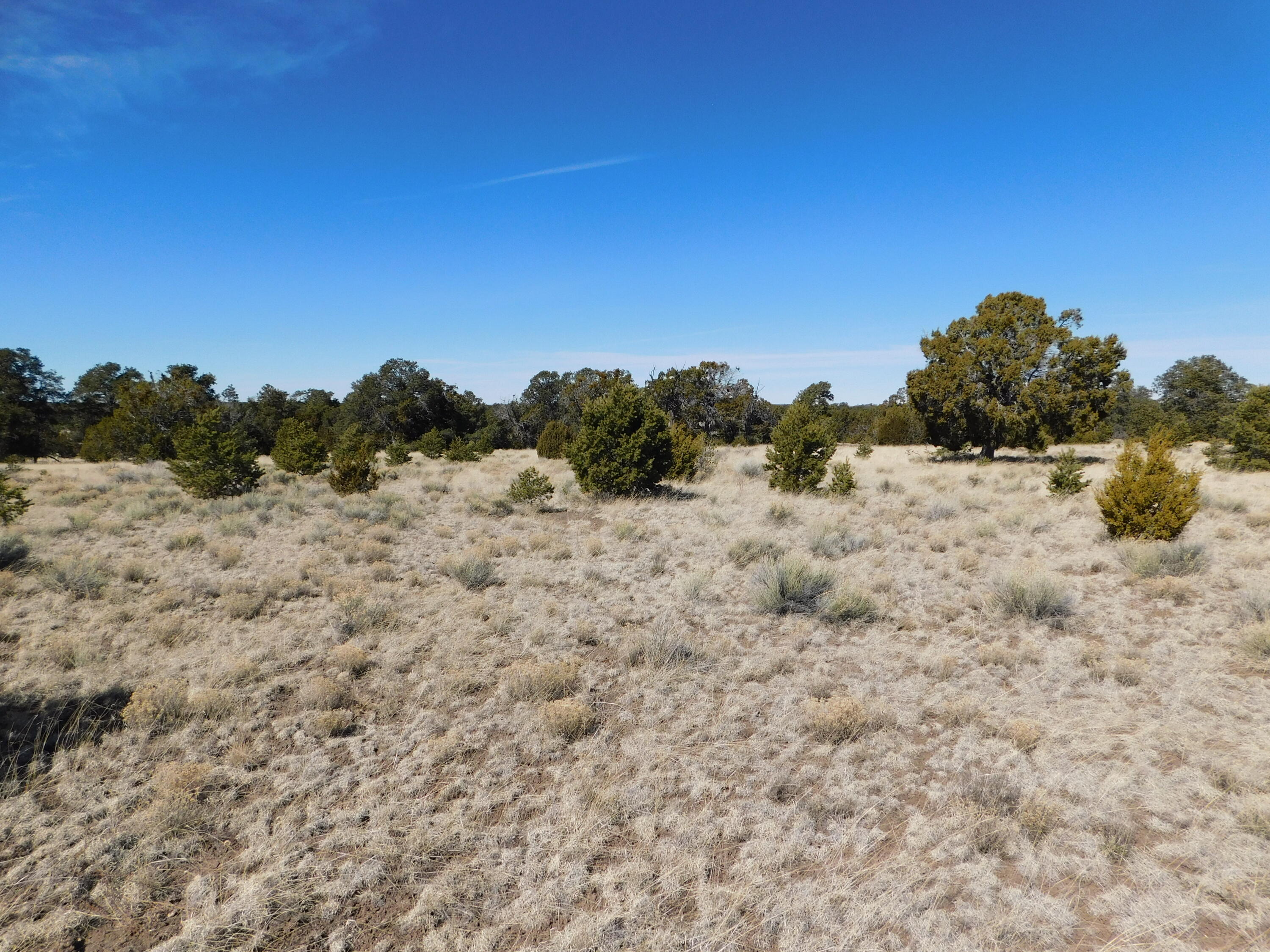 Photo 9 — Lot 38a Agua Fria Loop