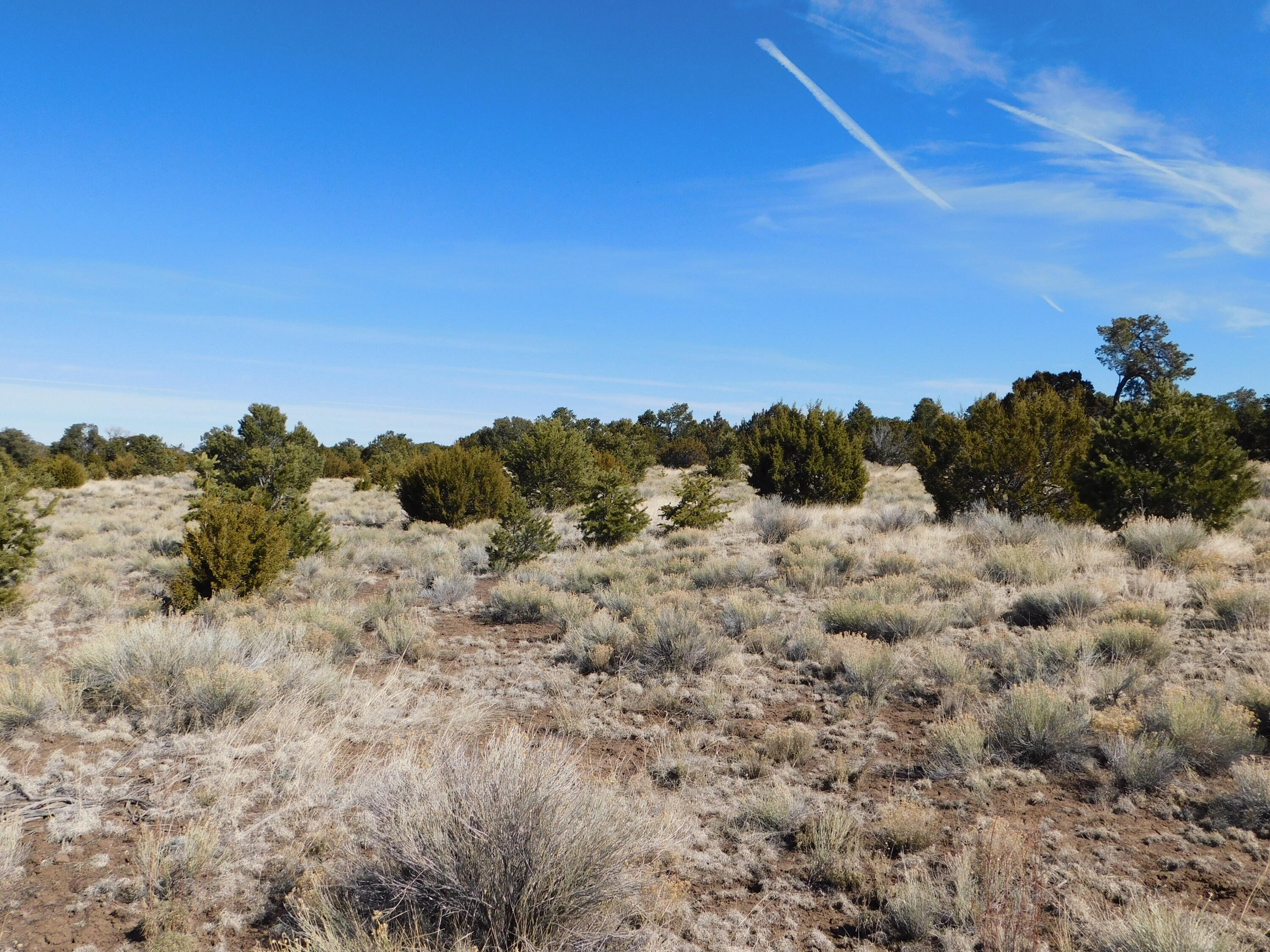 Photo 8 — Lot 38a Agua Fria Loop