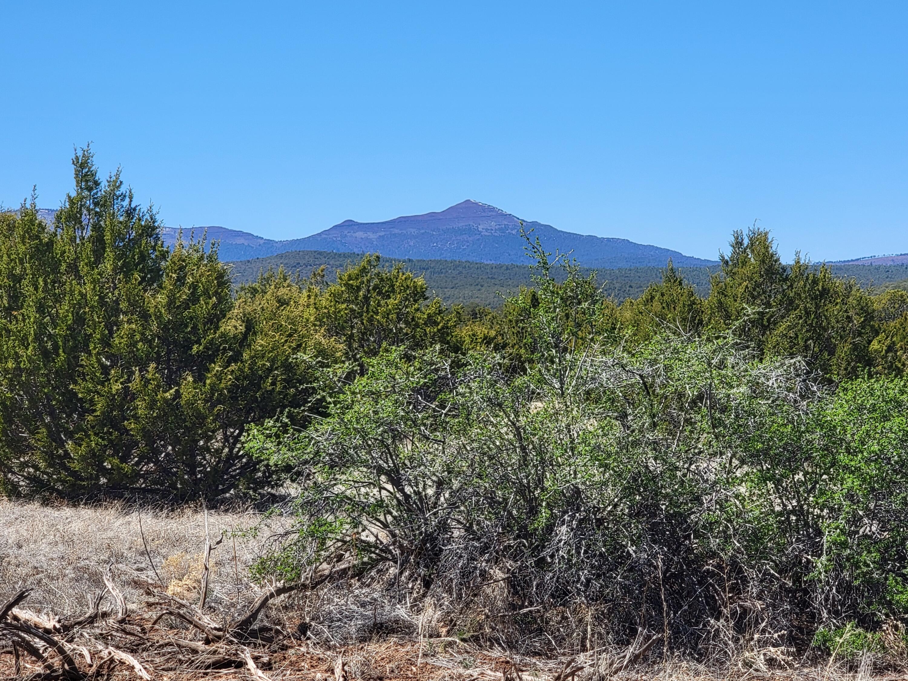172 Rosewood Drive, Tajique, NM 87016