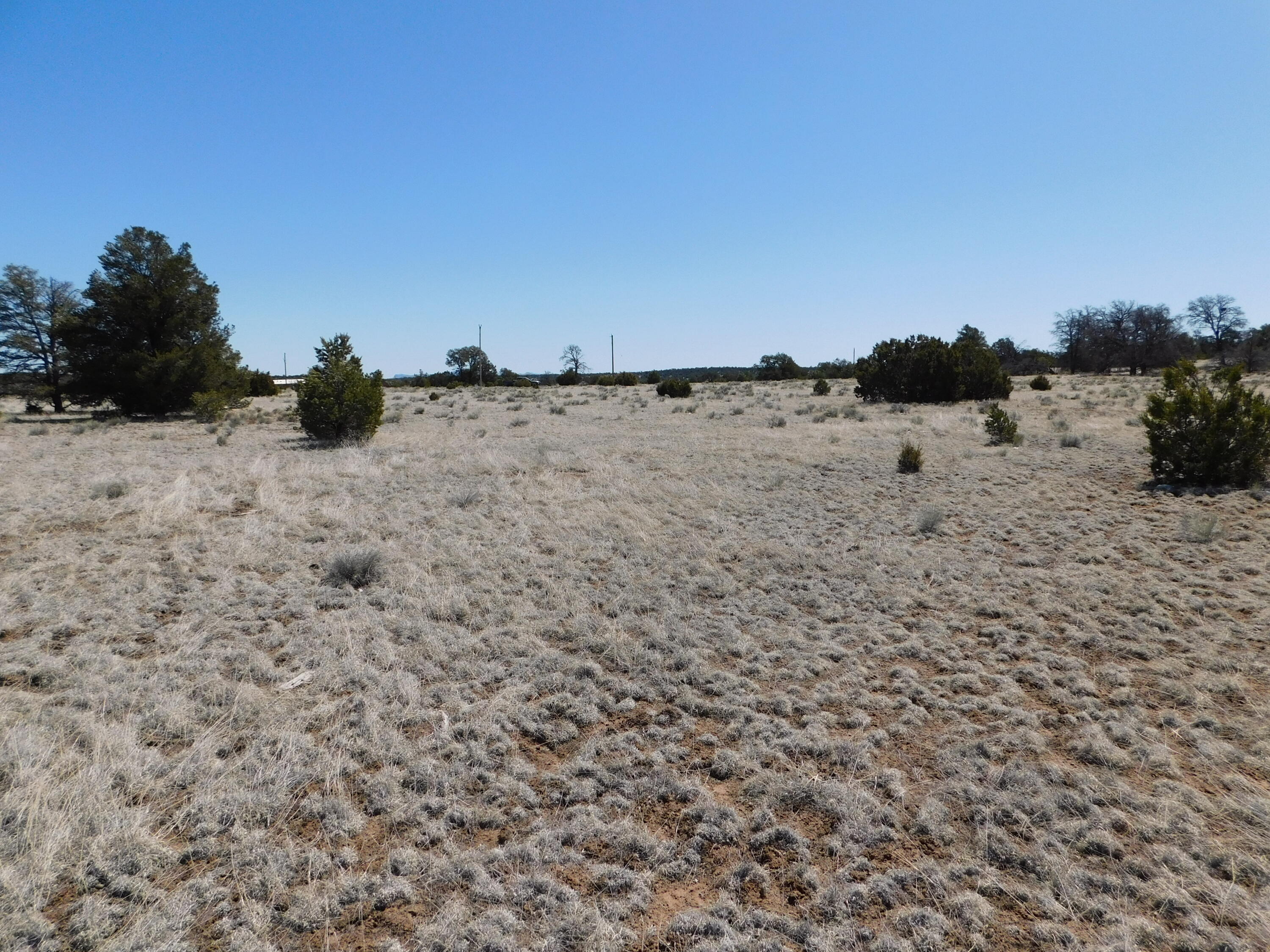 Photo 5 — Lot 5 Golden Horeshoe Trail