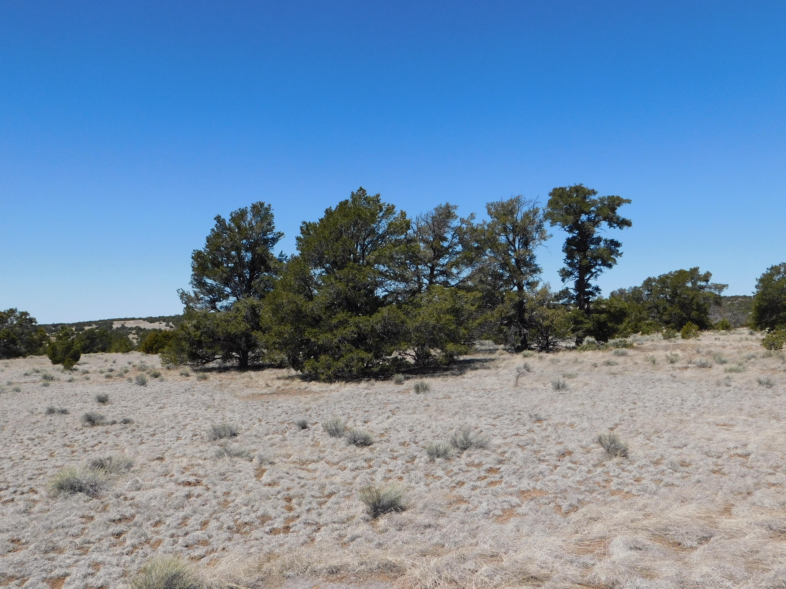 Photo 11 — Lot 5 Golden Horeshoe Trail
