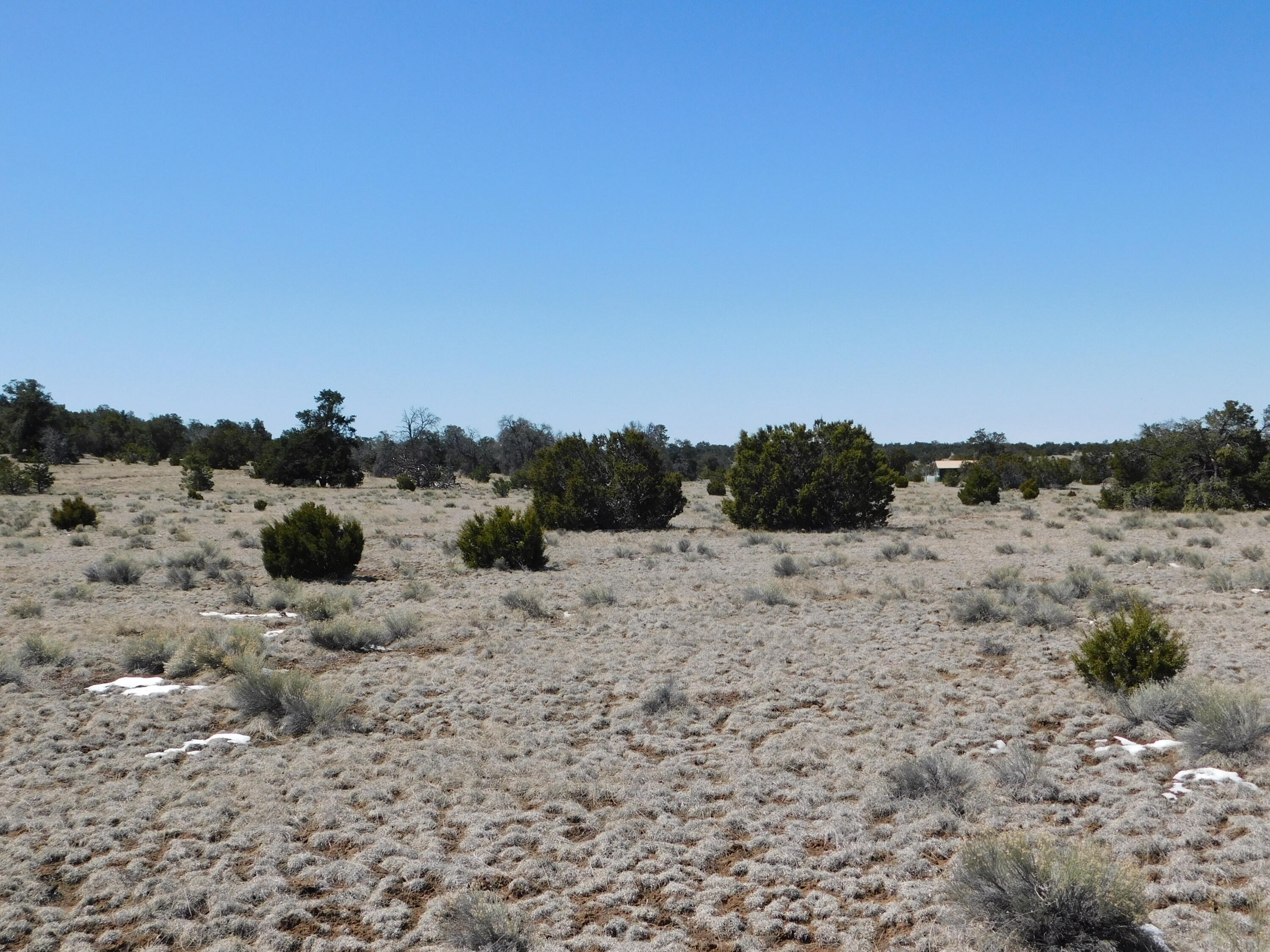 Photo 6 — Lot 5 Golden Horeshoe Trail