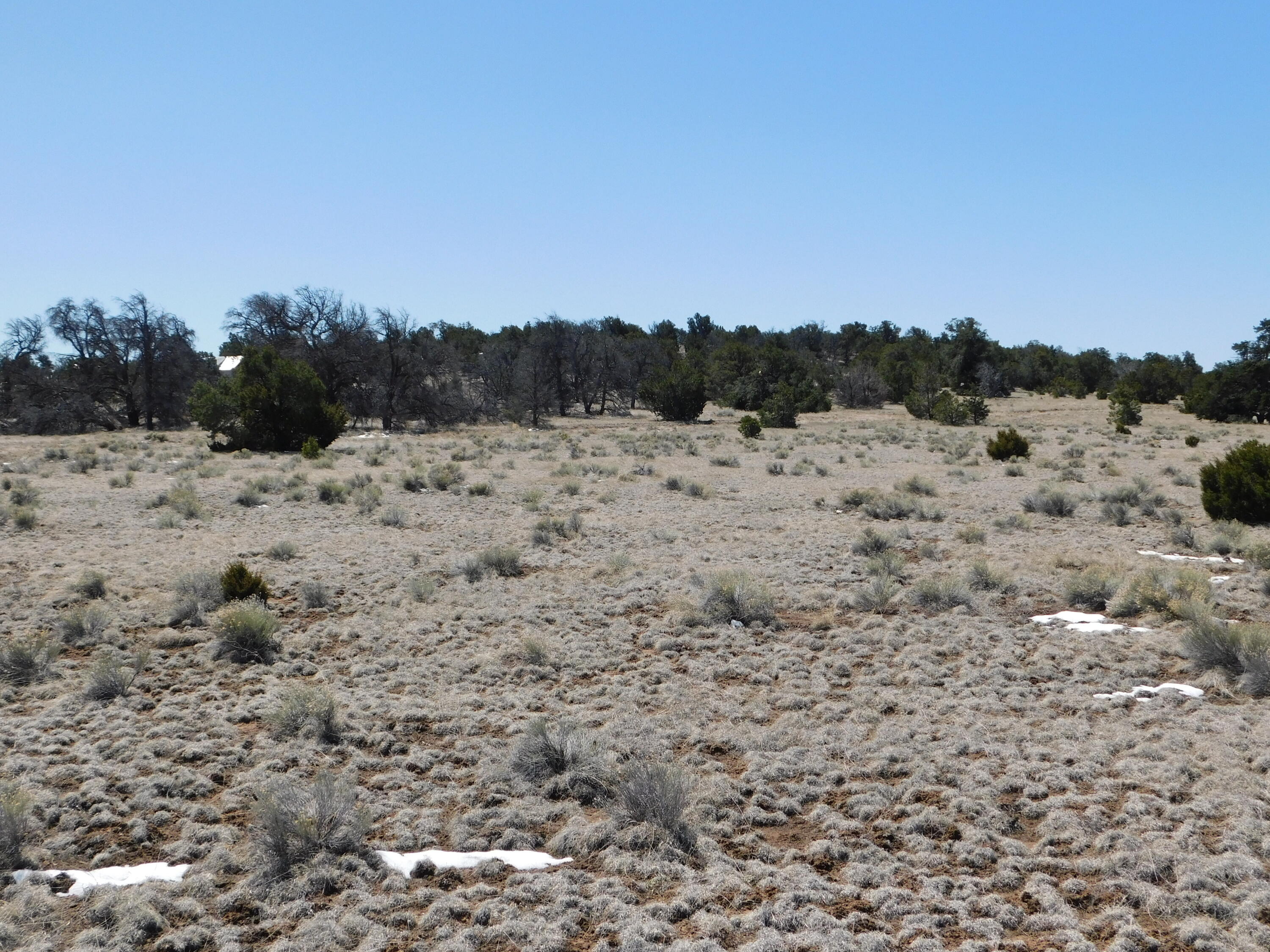 Photo 7 — Lot 5 Golden Horeshoe Trail