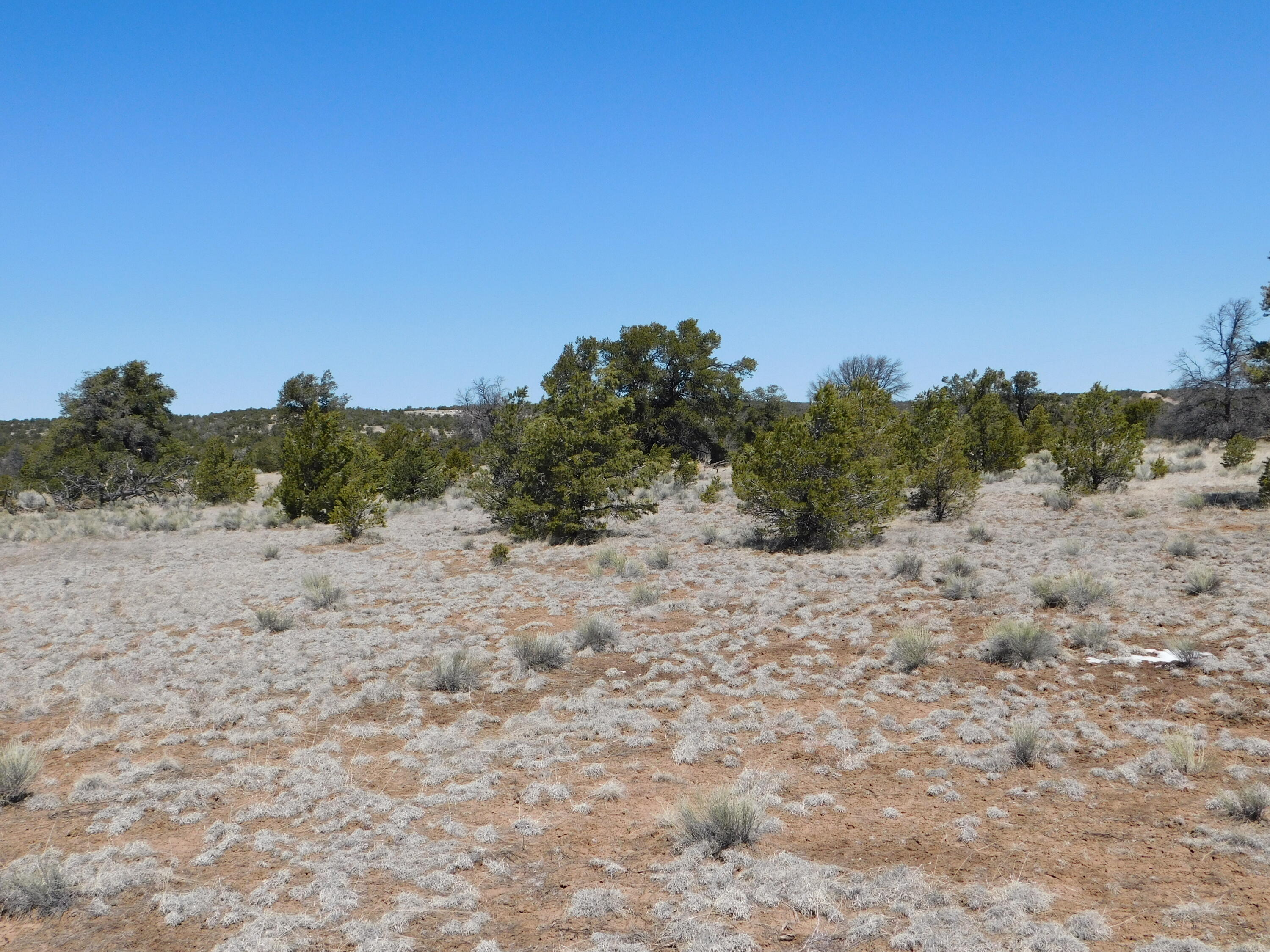 Photo 8 — Lot 5 Golden Horeshoe Trail