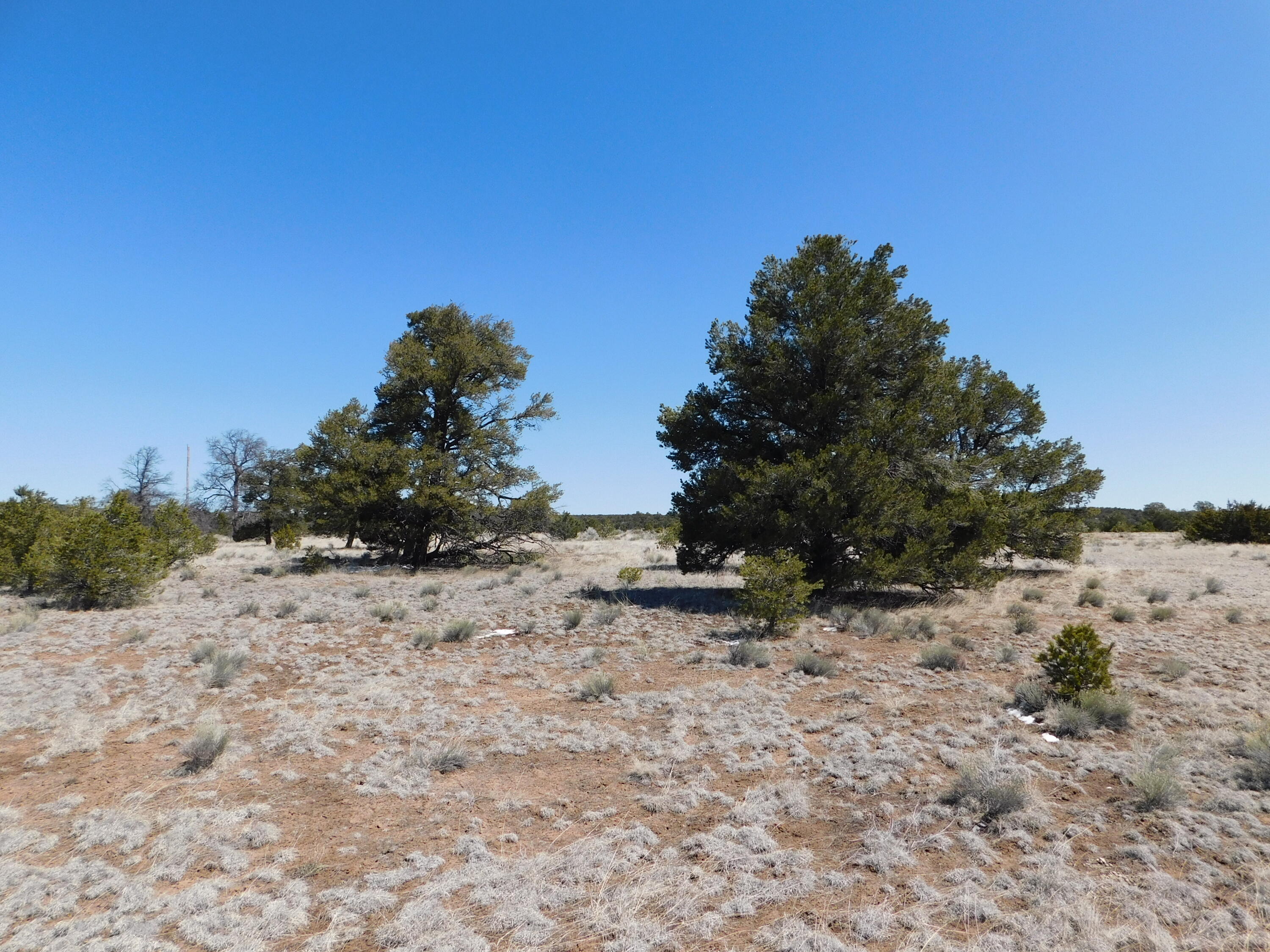 Photo 9 — Lot 5 Golden Horeshoe Trail