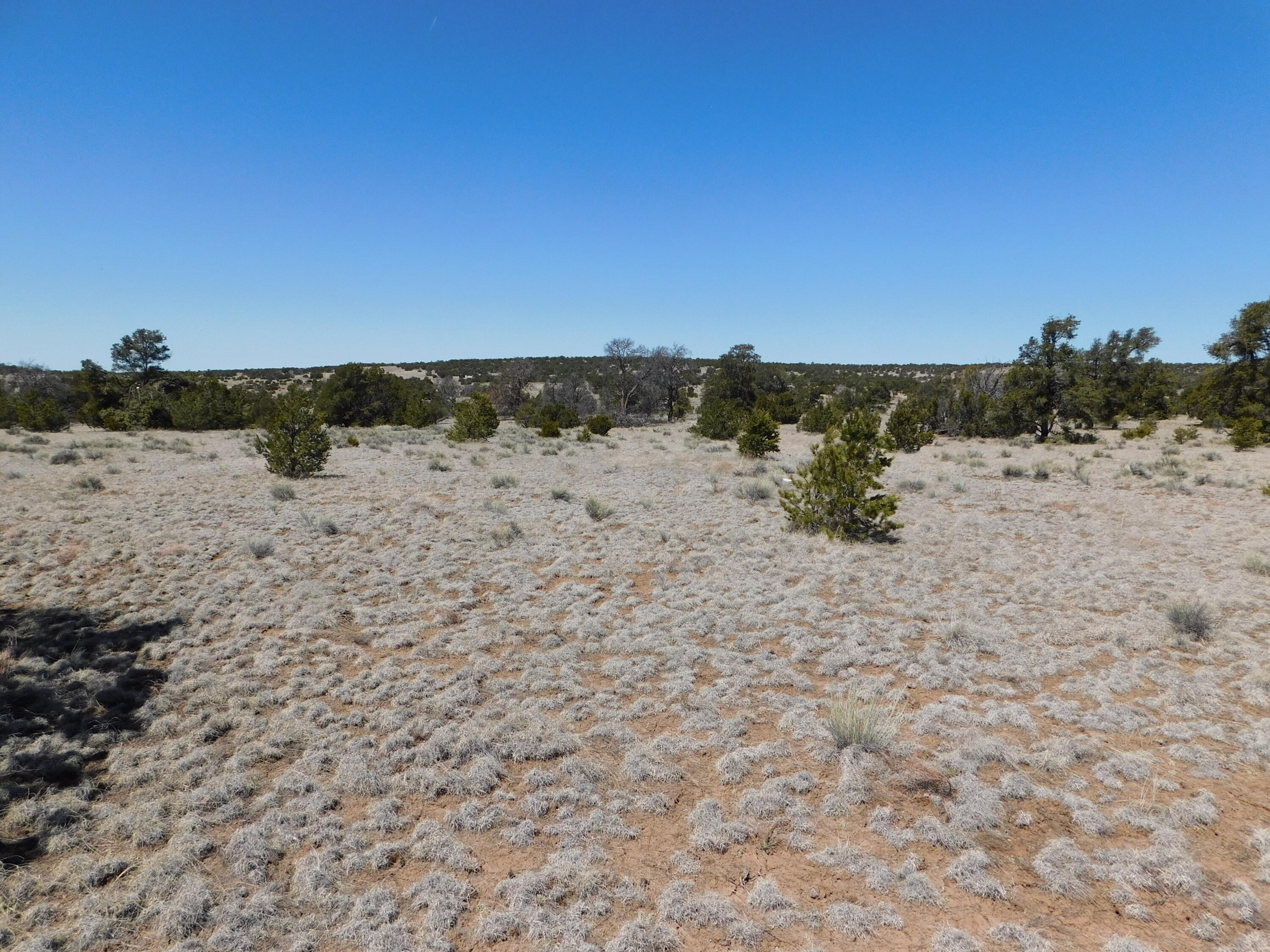 Photo 10 — Lot 5 Golden Horeshoe Trail