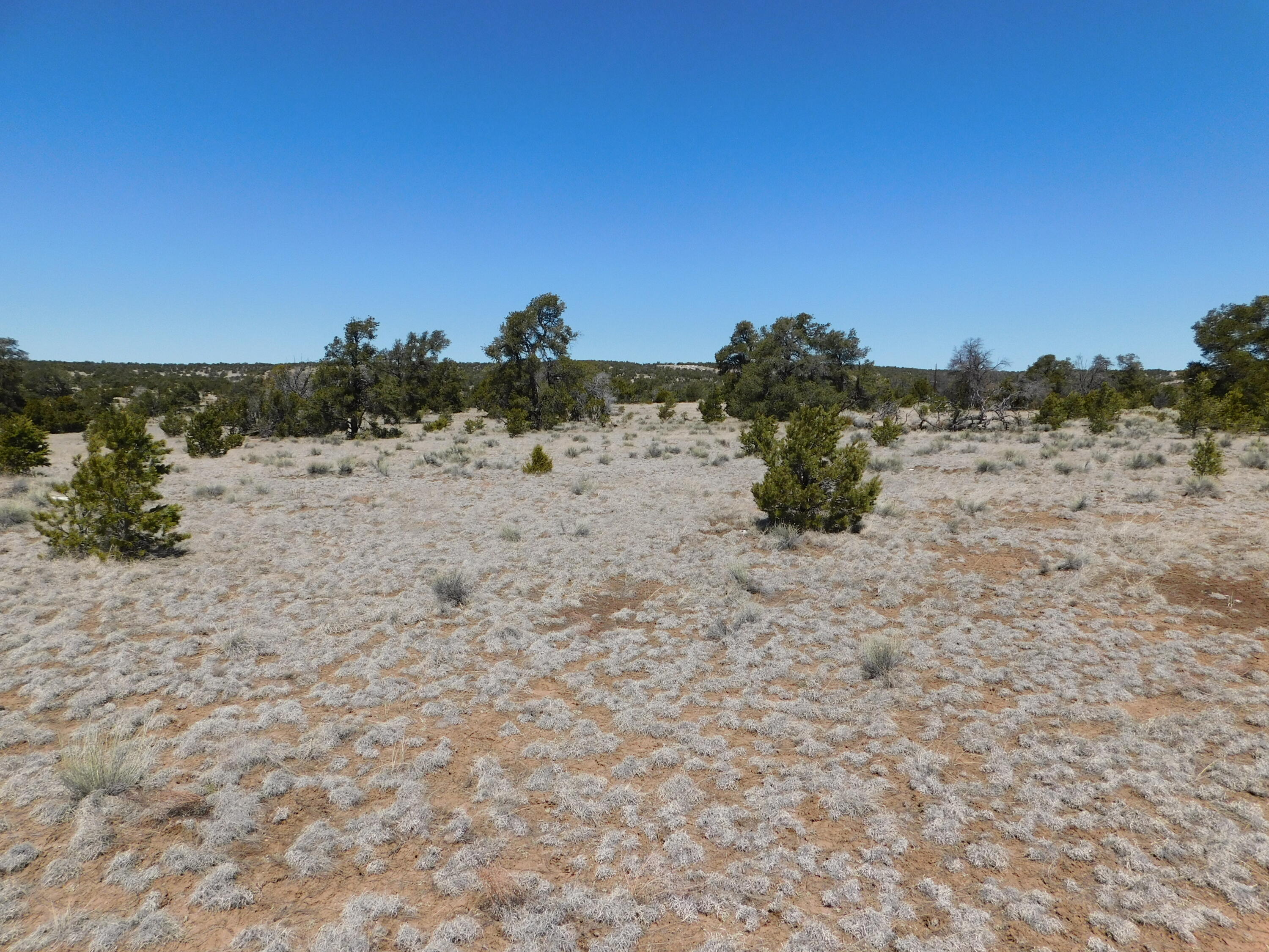 Photo 3 — Lot 5 Golden Horeshoe Trail