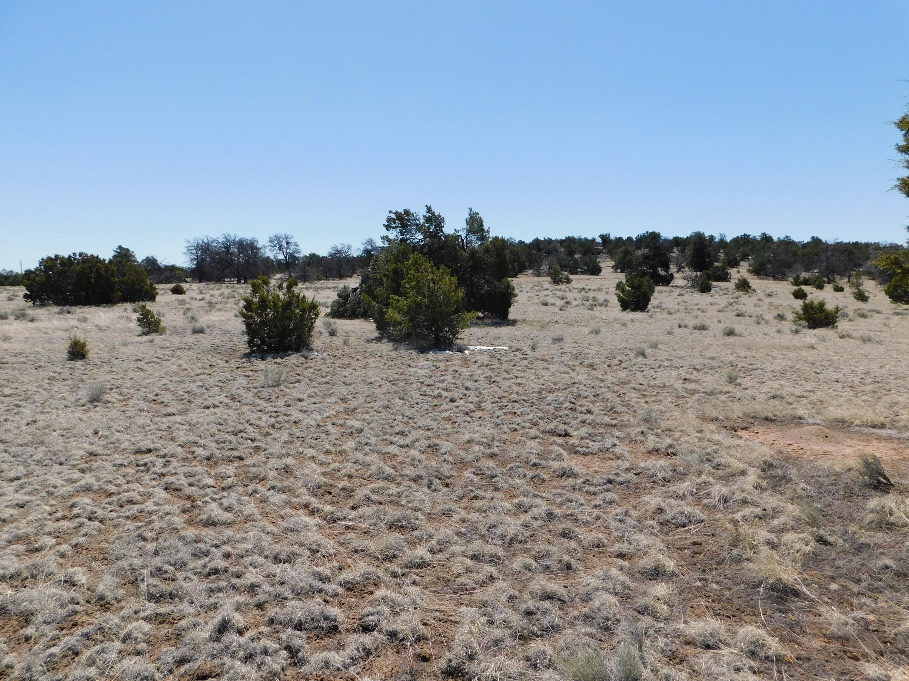 Photo 4 — Lot 5 Golden Horeshoe Trail