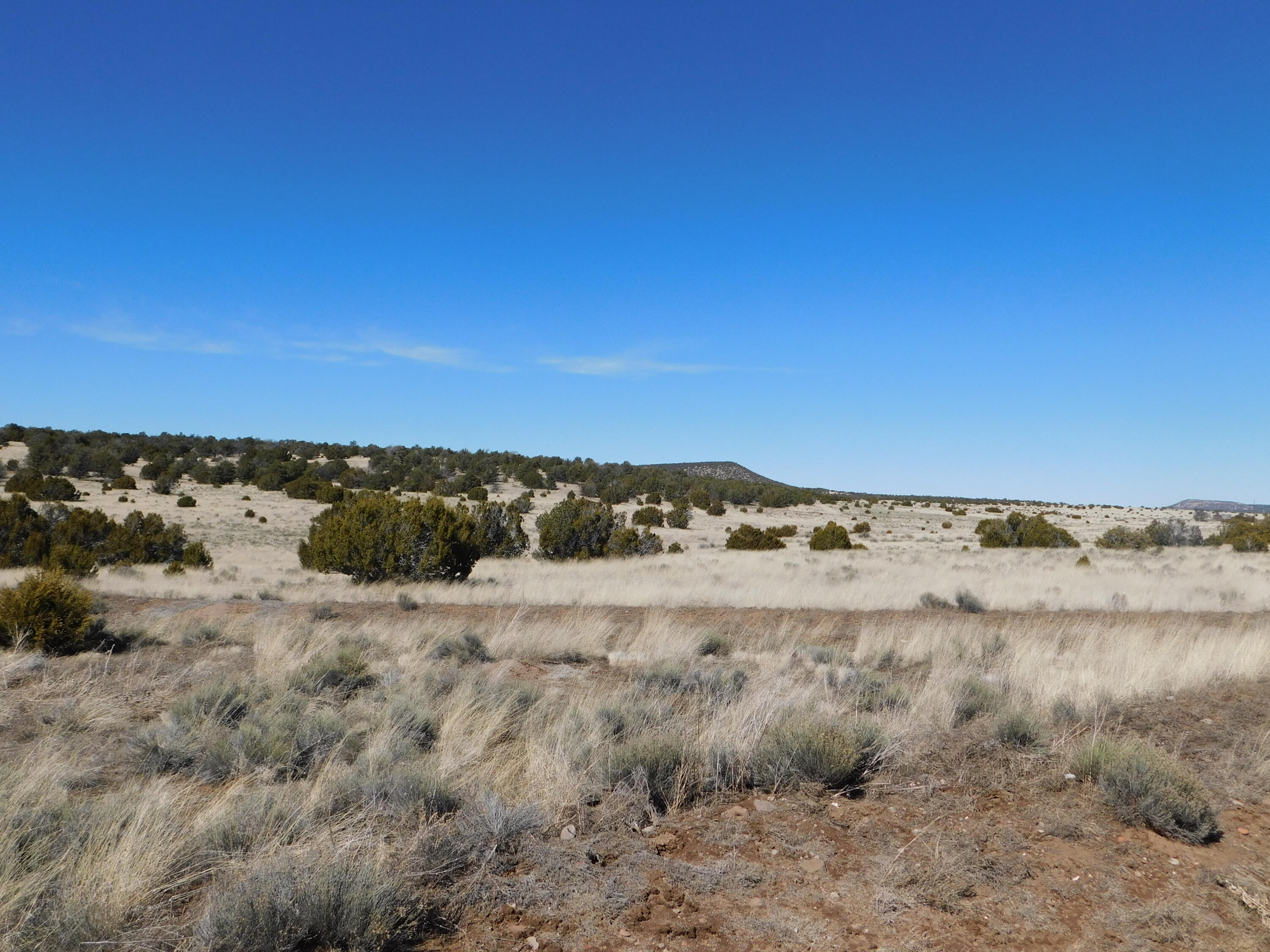 Photo 7 — Lot 67 Bronco Boulevard