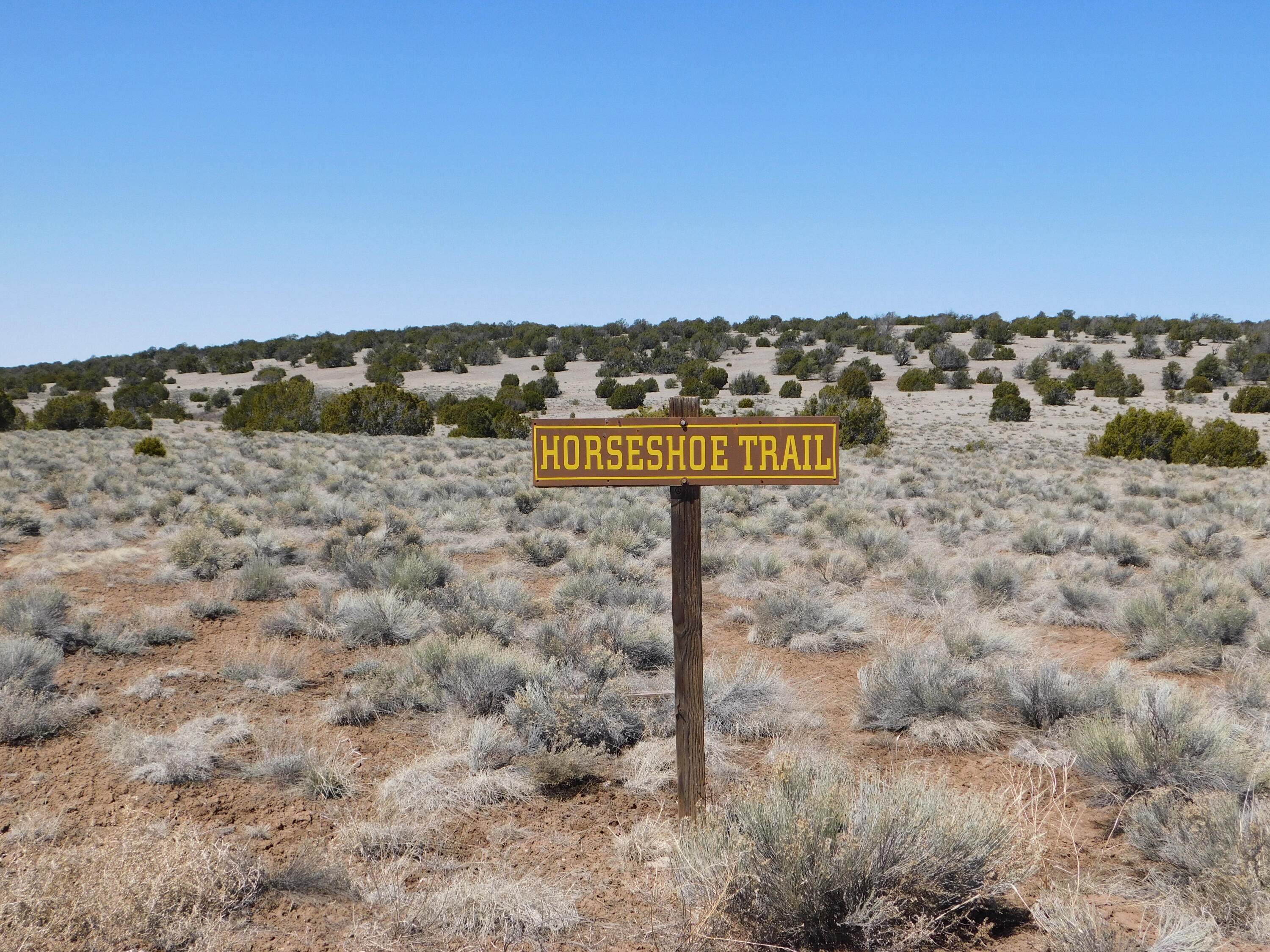 Photo 4 — Lot 67 Bronco Boulevard