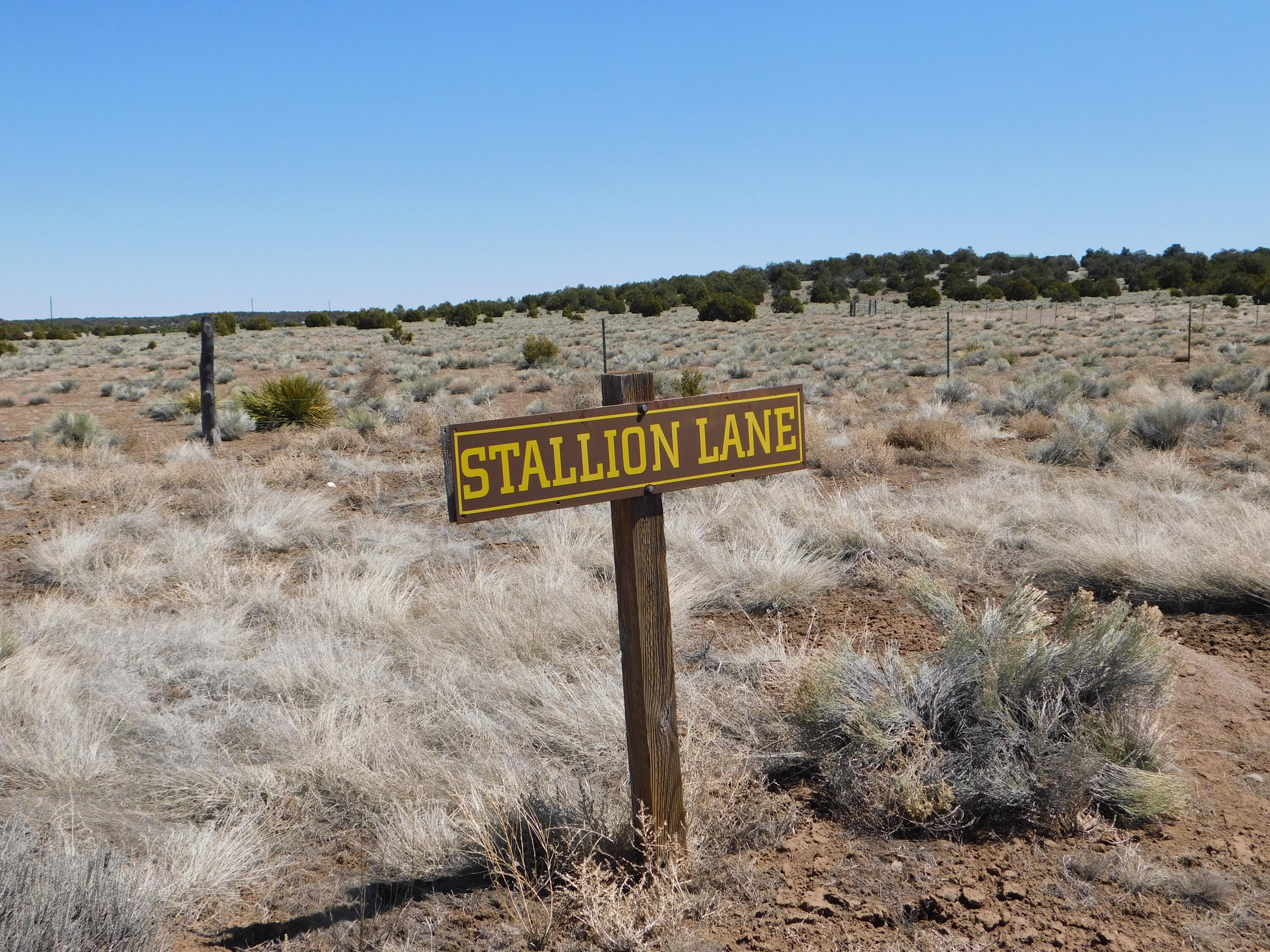 Photo 3 — Lot 67 Bronco Boulevard