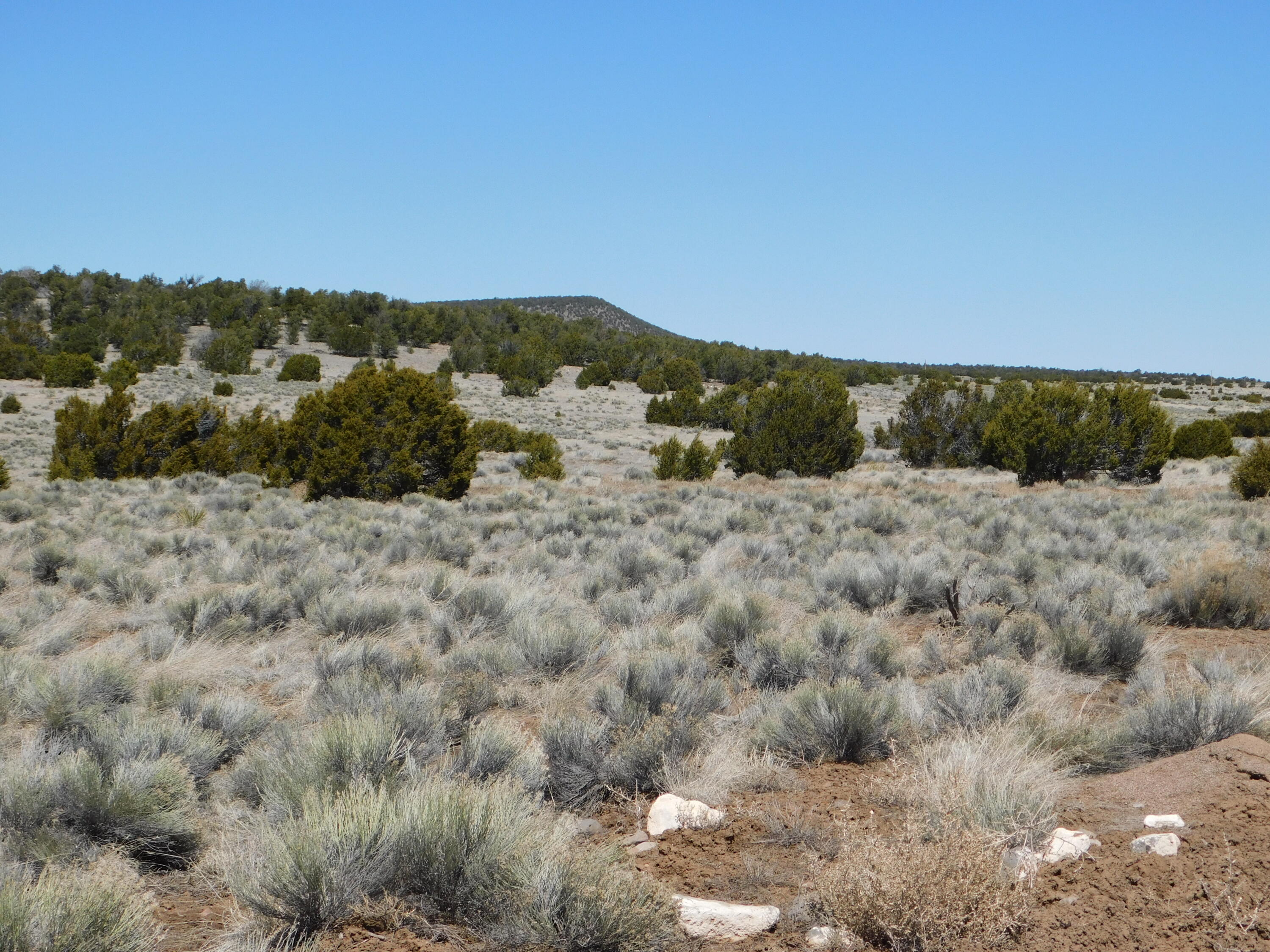 Photo 8 — Lot 67 Bronco Boulevard
