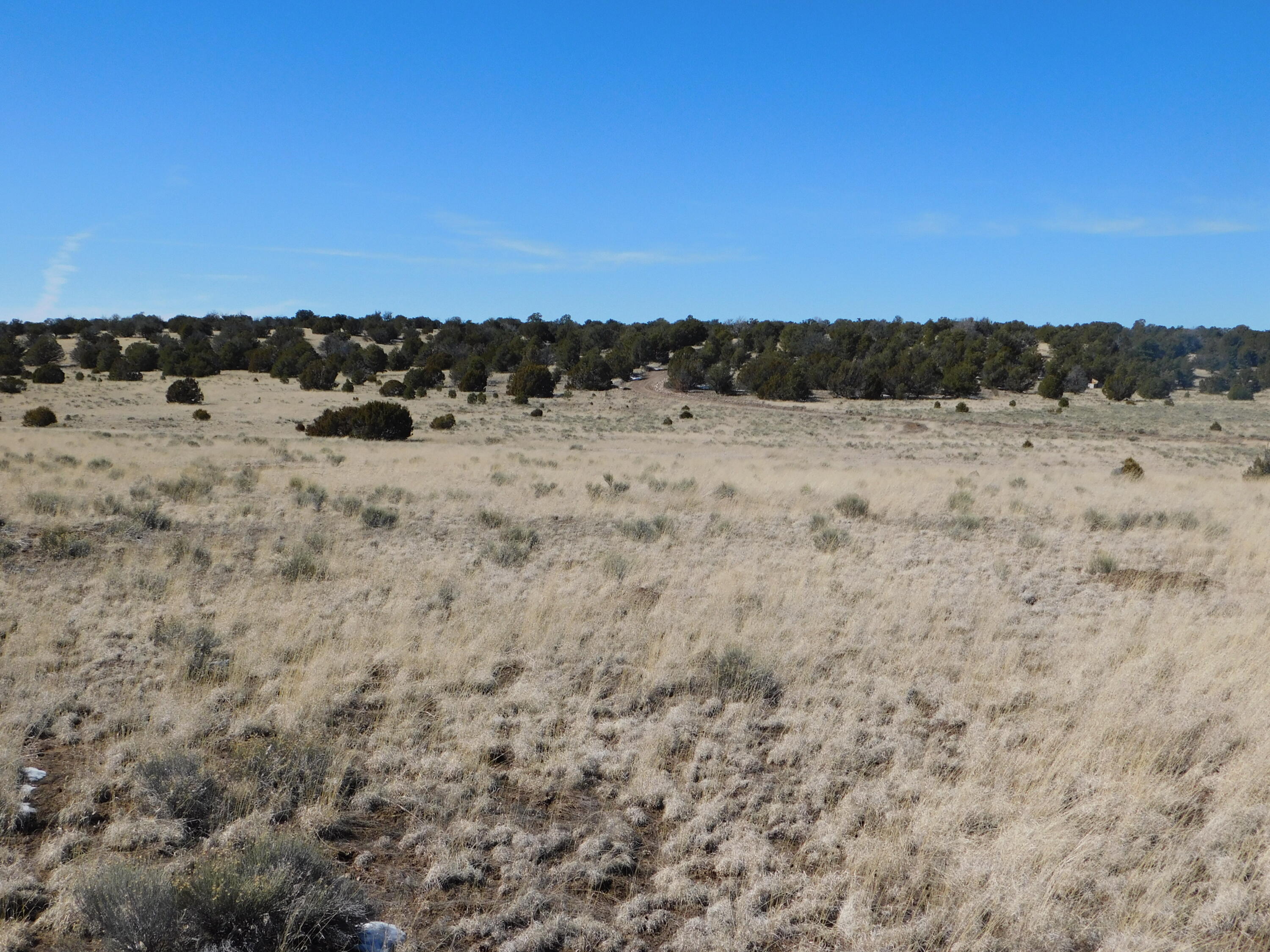 Photo 9 — Lot 67 Bronco Boulevard