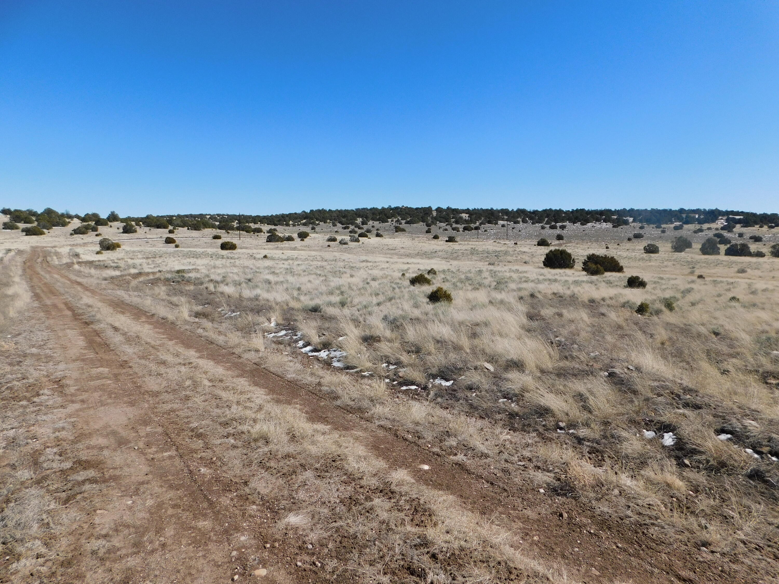 Photo 10 — Lot 67 Bronco Boulevard