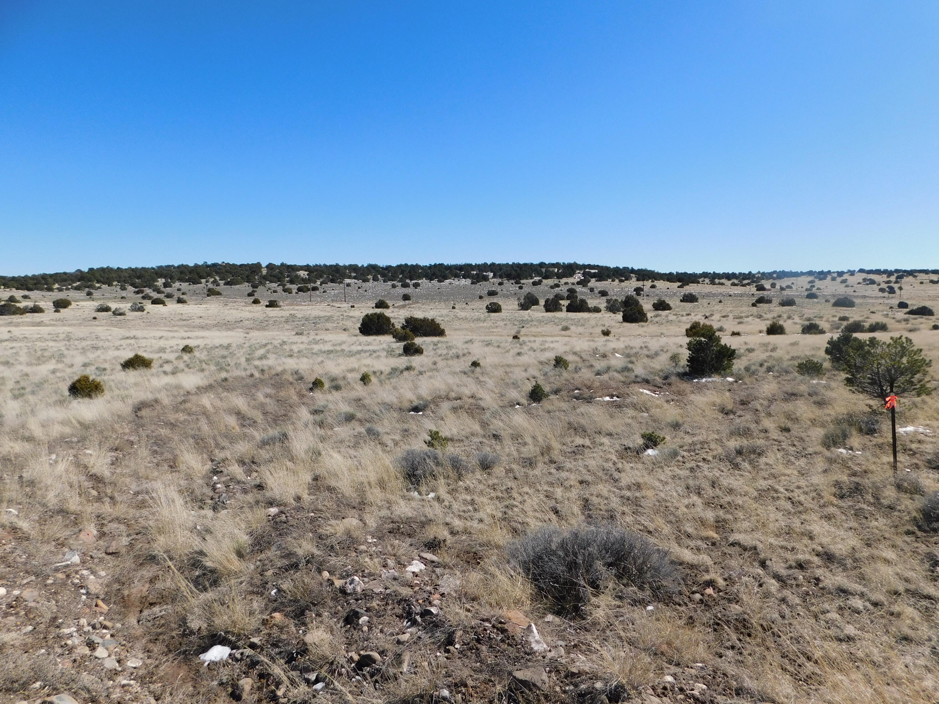 Photo 12 — Lot 67 Bronco Boulevard