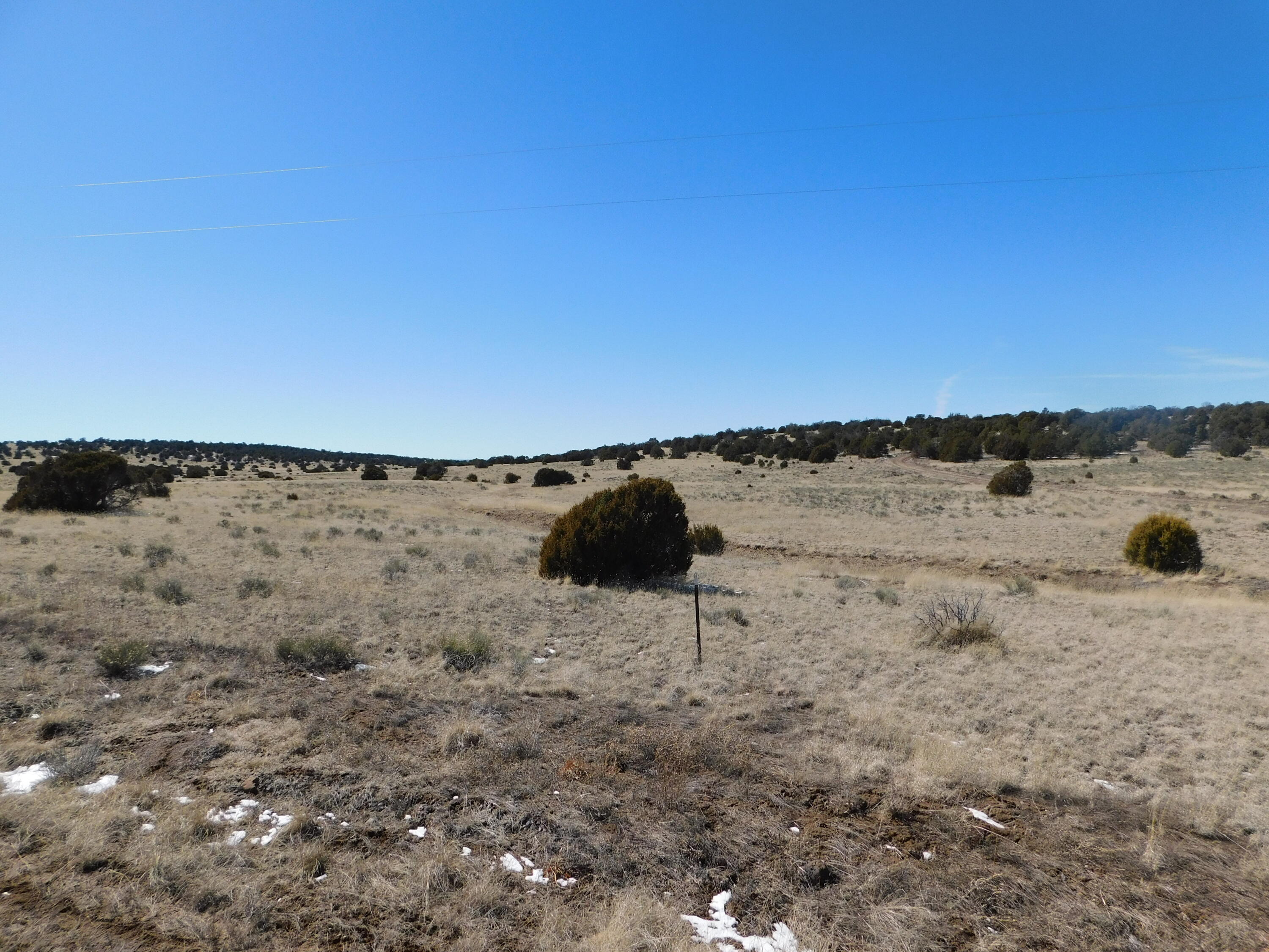 Photo 13 — Lot 67 Bronco Boulevard