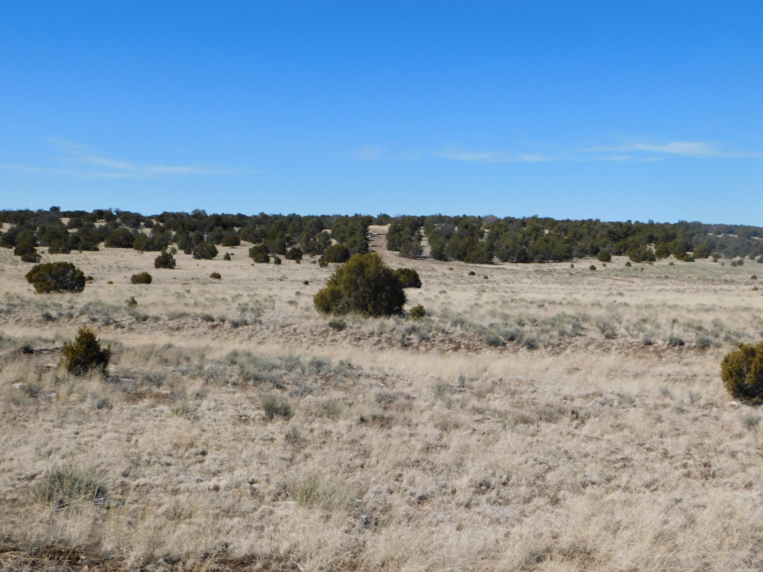 Photo 6 — Lot 67 Bronco Boulevard