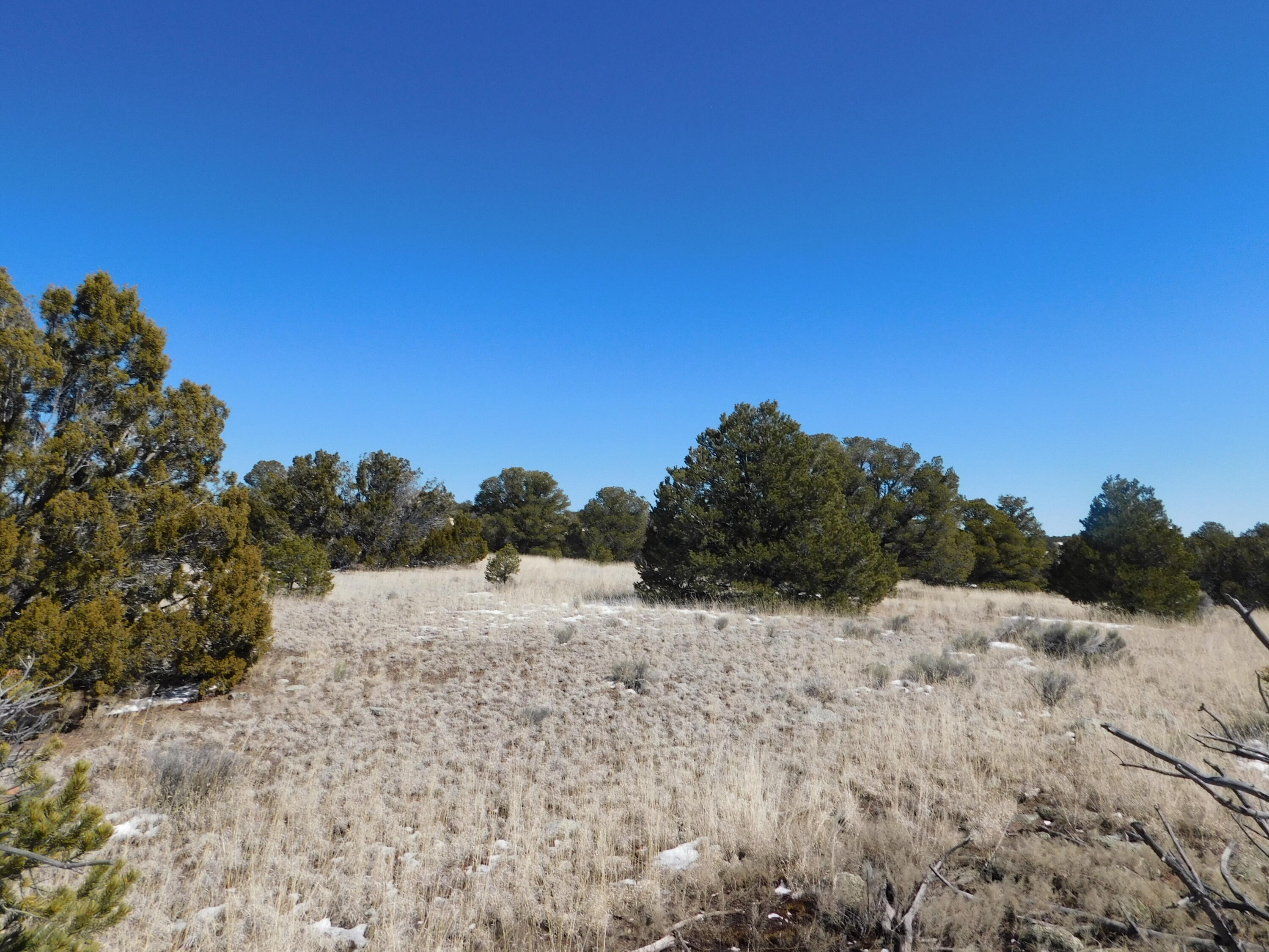 Photo 13 — Lot 56 Bronco Boulevard