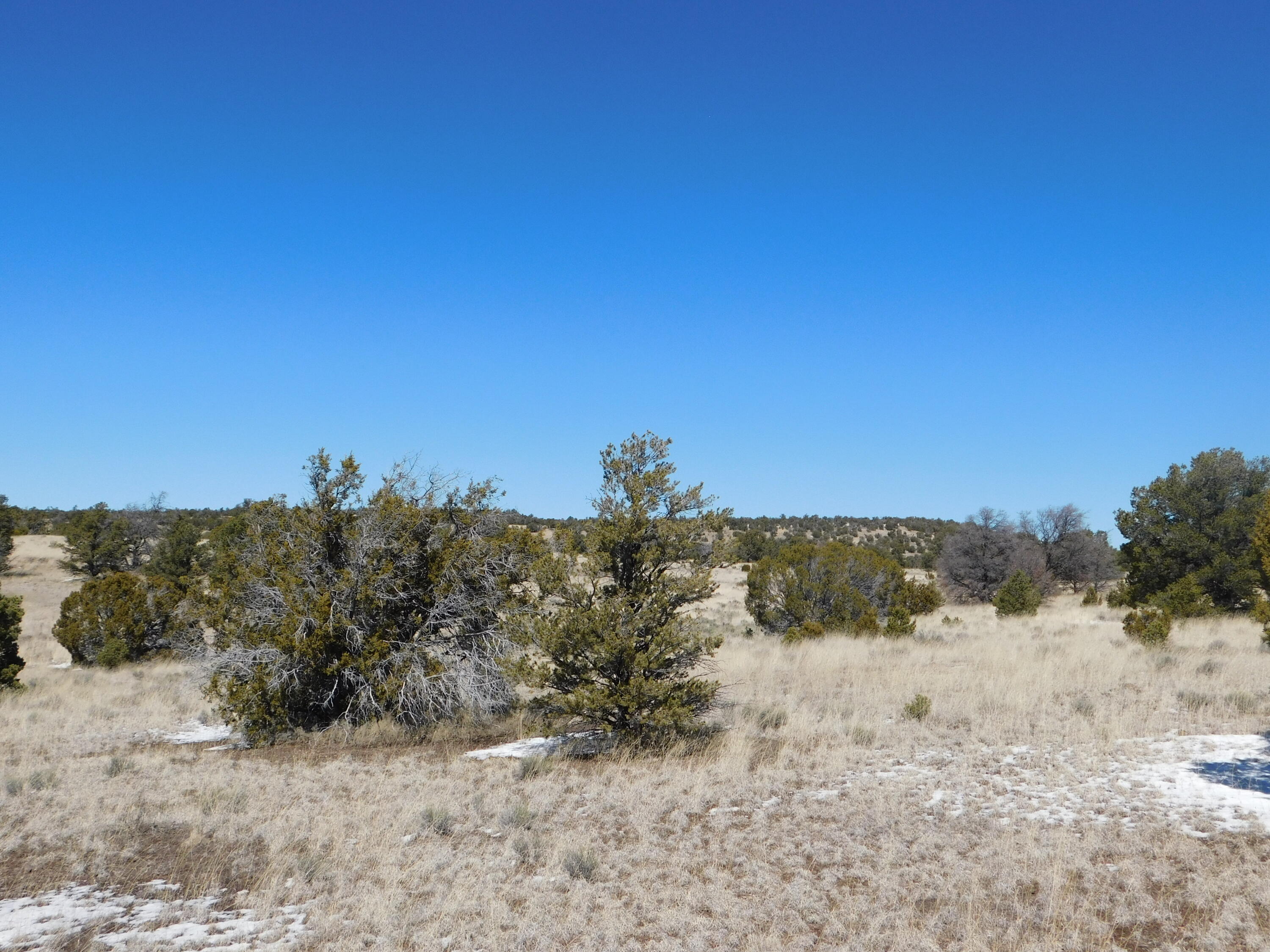 Photo 4 — Lot 56 Bronco Boulevard