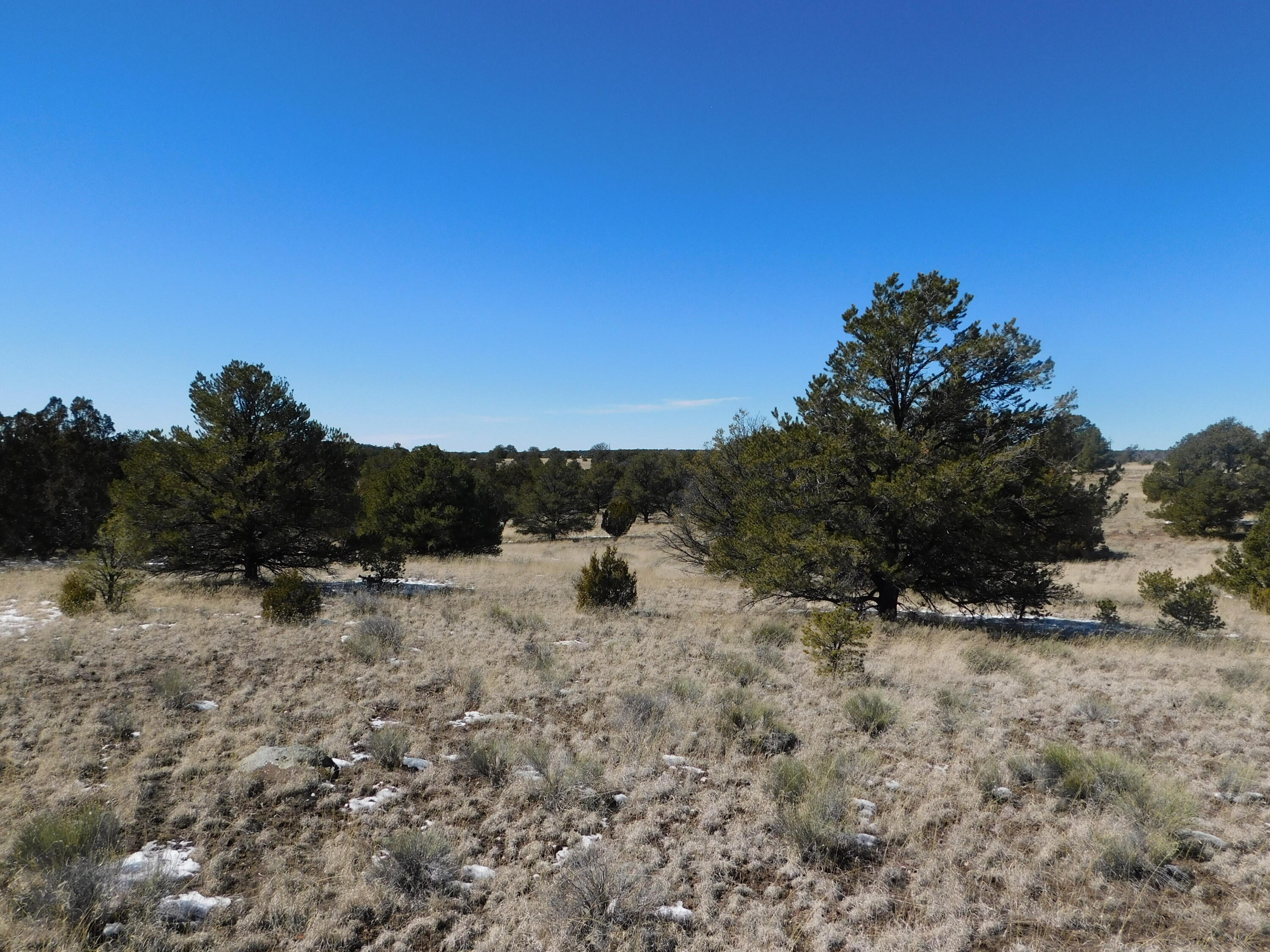 Photo 3 — Lot 56 Bronco Boulevard