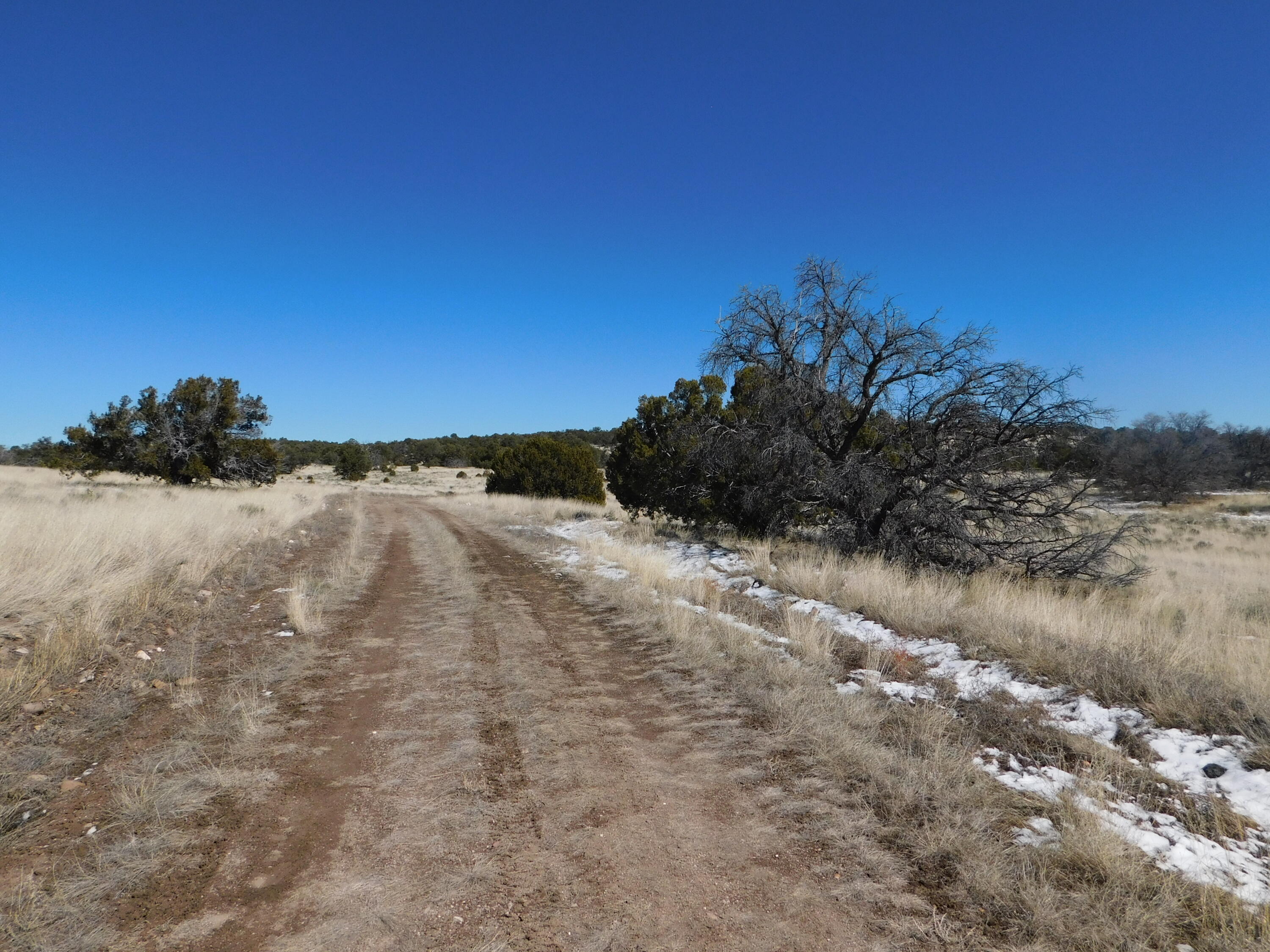 Photo 2 — Lot 56 Bronco Boulevard