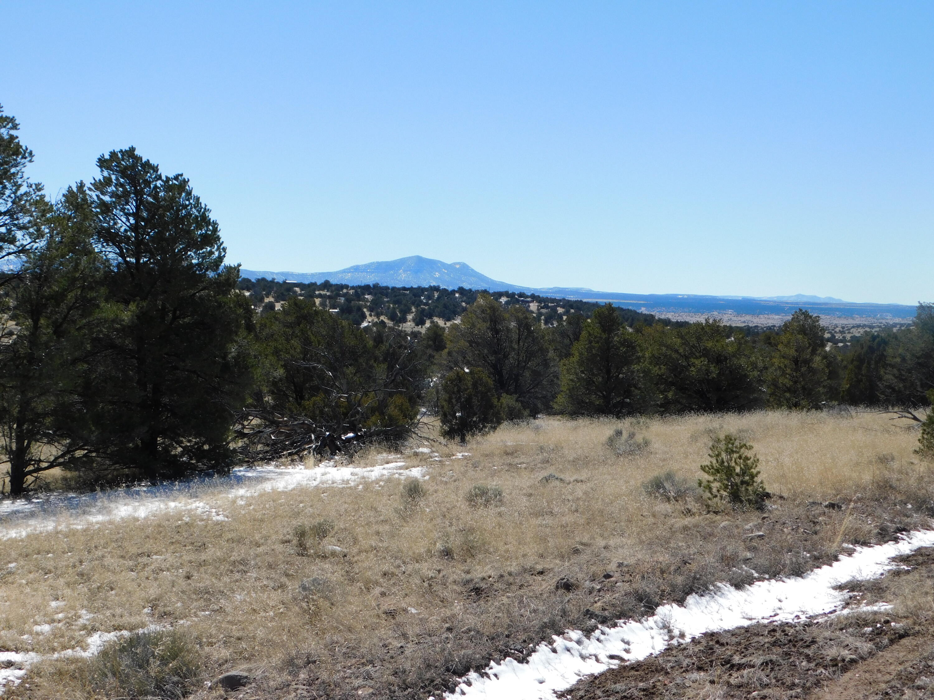 Photo 6 — Lot 56 Bronco Boulevard