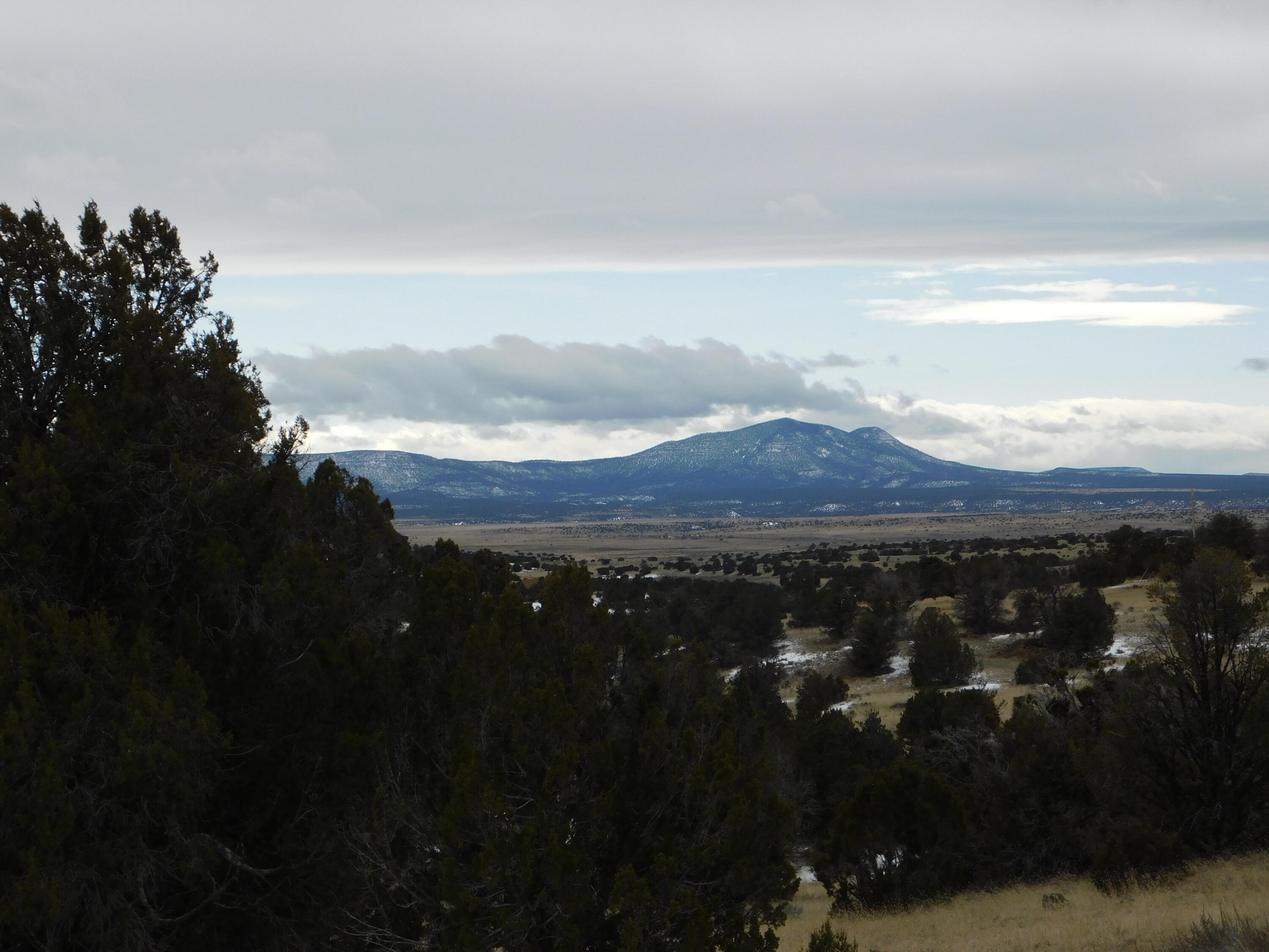 Photo 7 — Lot 56 Bronco Boulevard