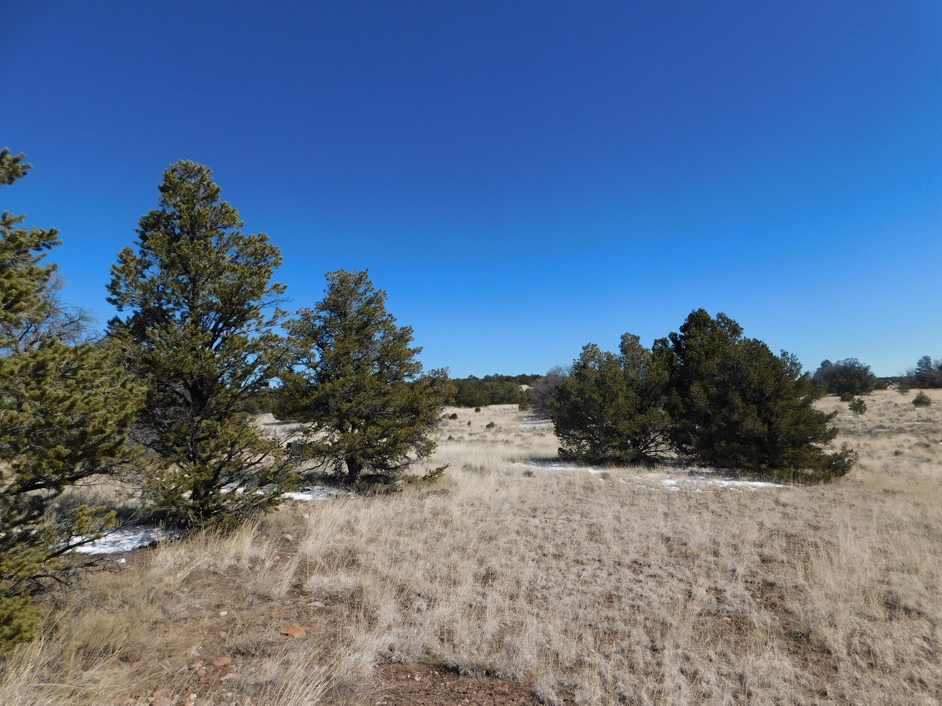 Photo 8 — Lot 56 Bronco Boulevard