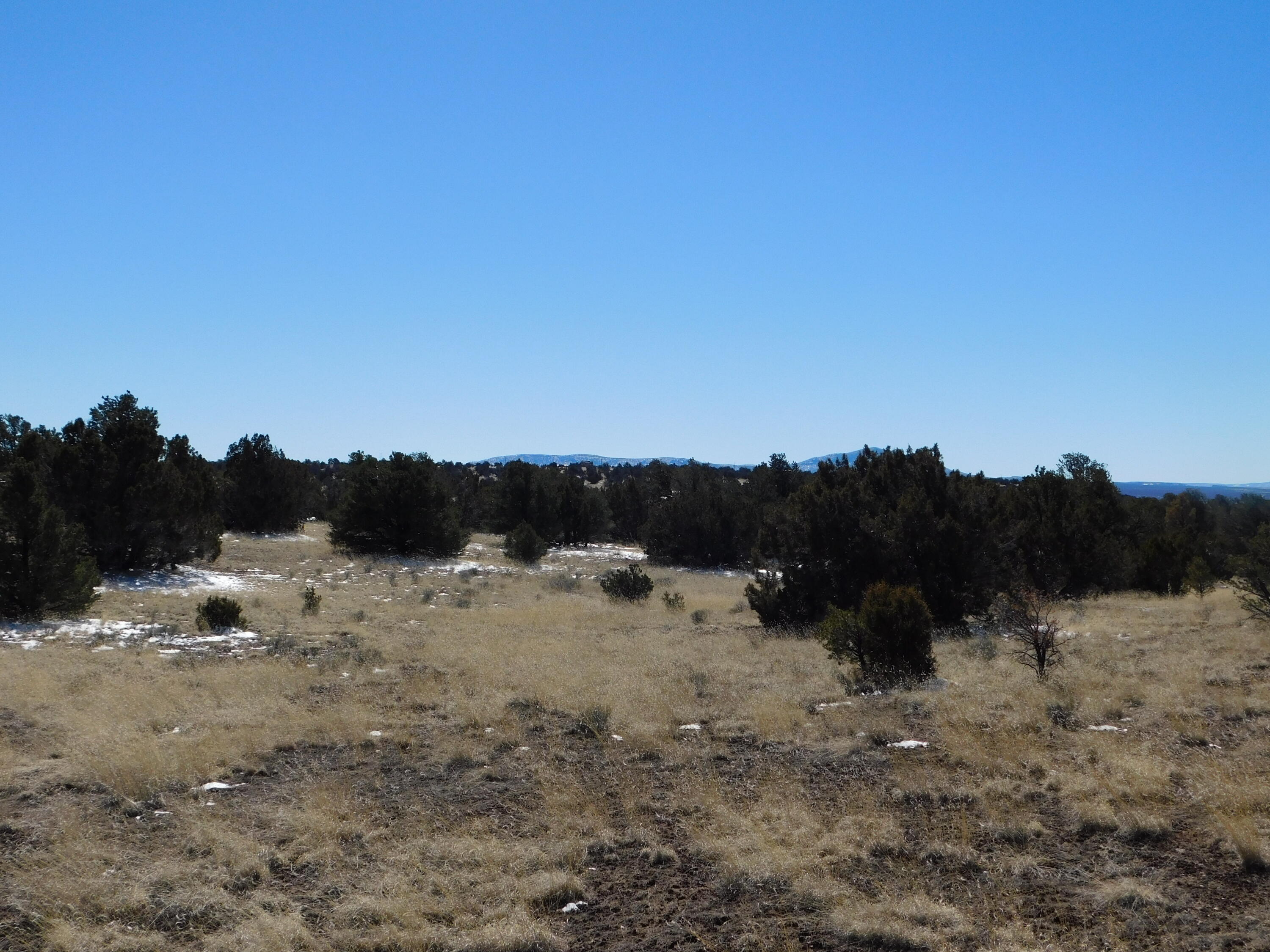 Photo 9 — Lot 56 Bronco Boulevard
