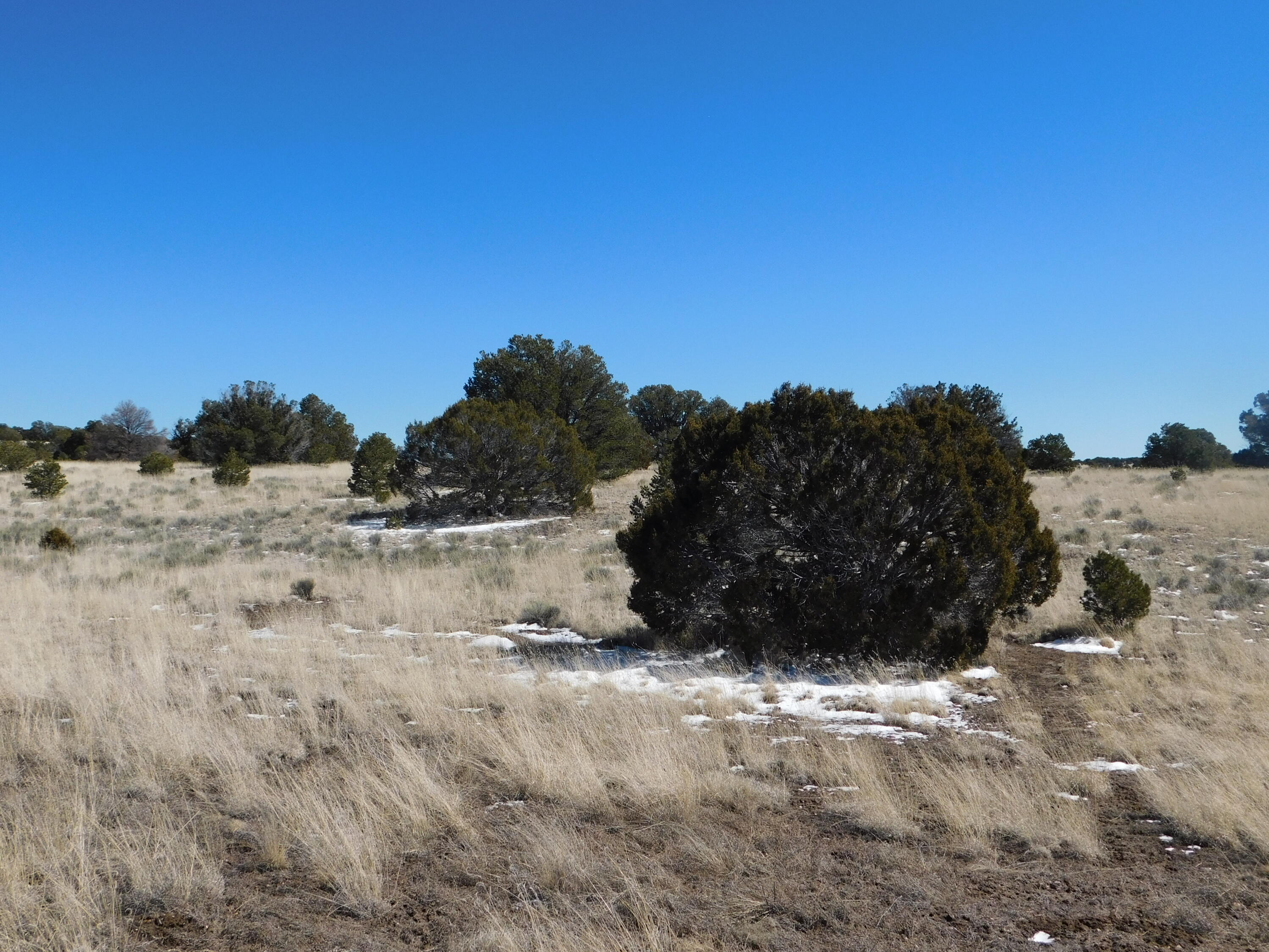 Photo 10 — Lot 56 Bronco Boulevard