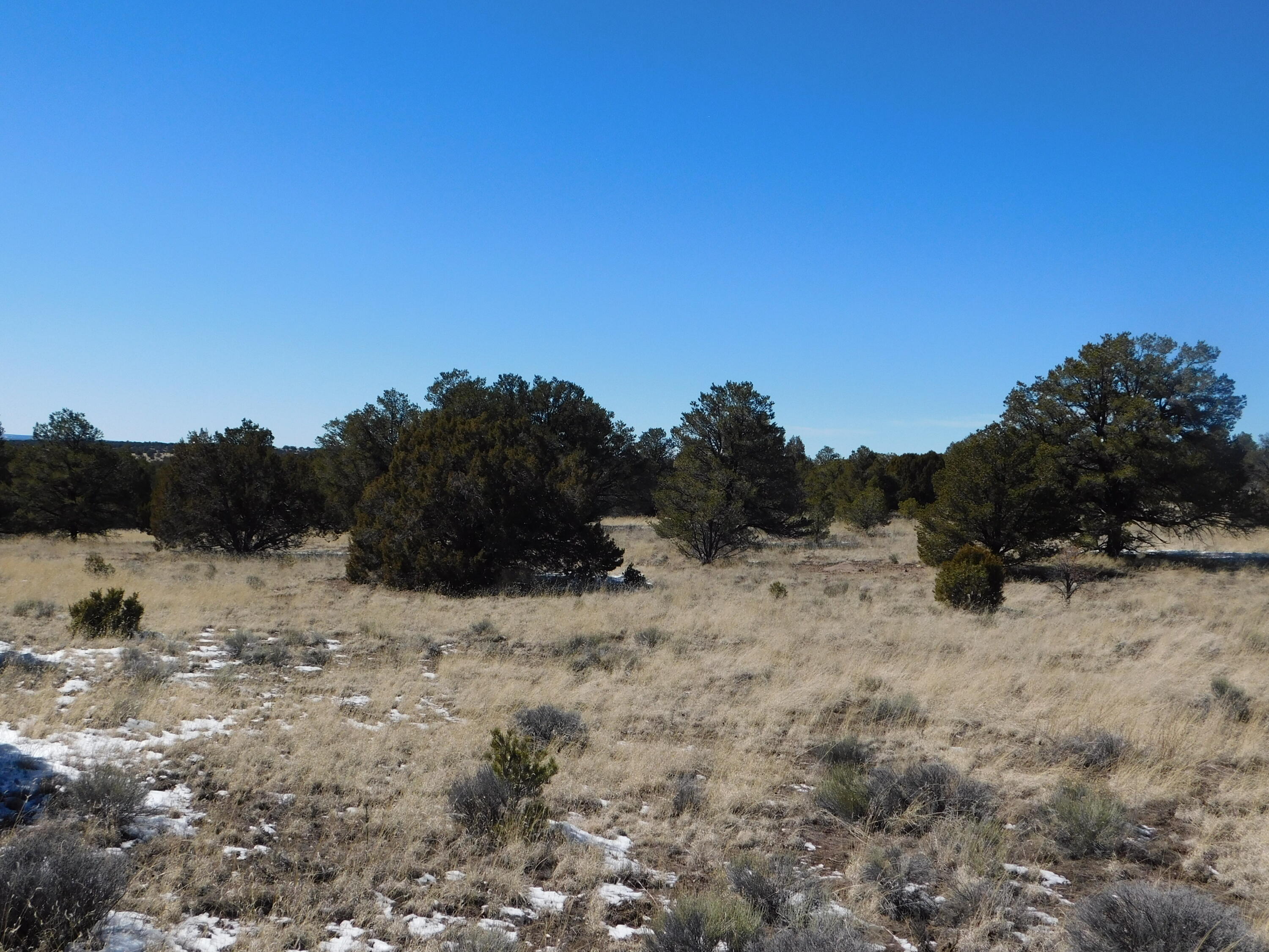Photo 11 — Lot 56 Bronco Boulevard