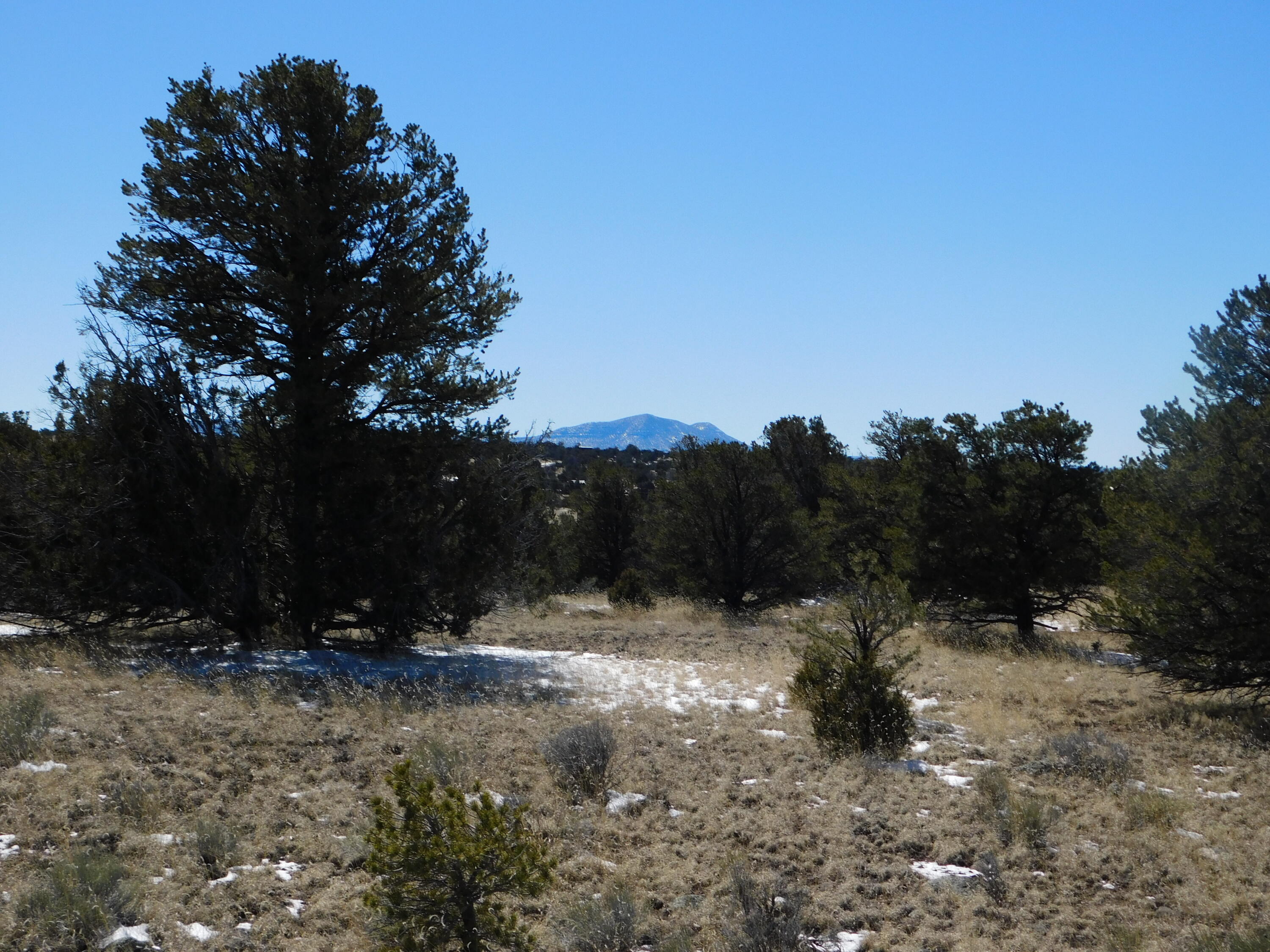 Photo 12 — Lot 56 Bronco Boulevard