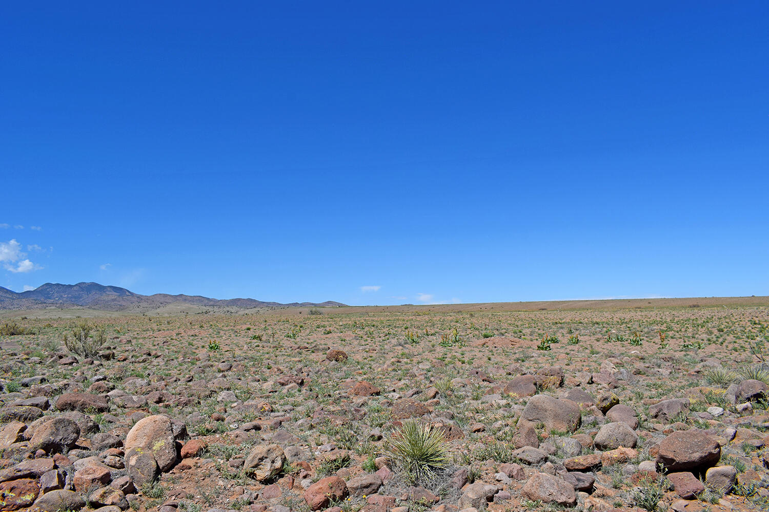 Photo 15 — Lot 141 Desert Highlands Road