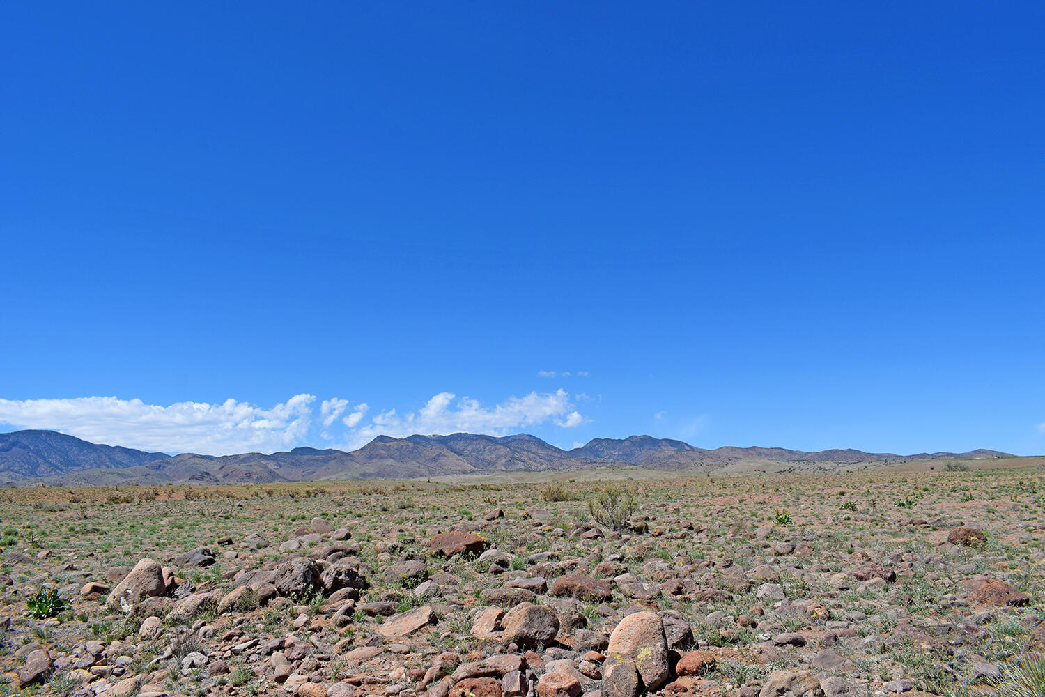Photo 14 — Lot 141 Desert Highlands Road