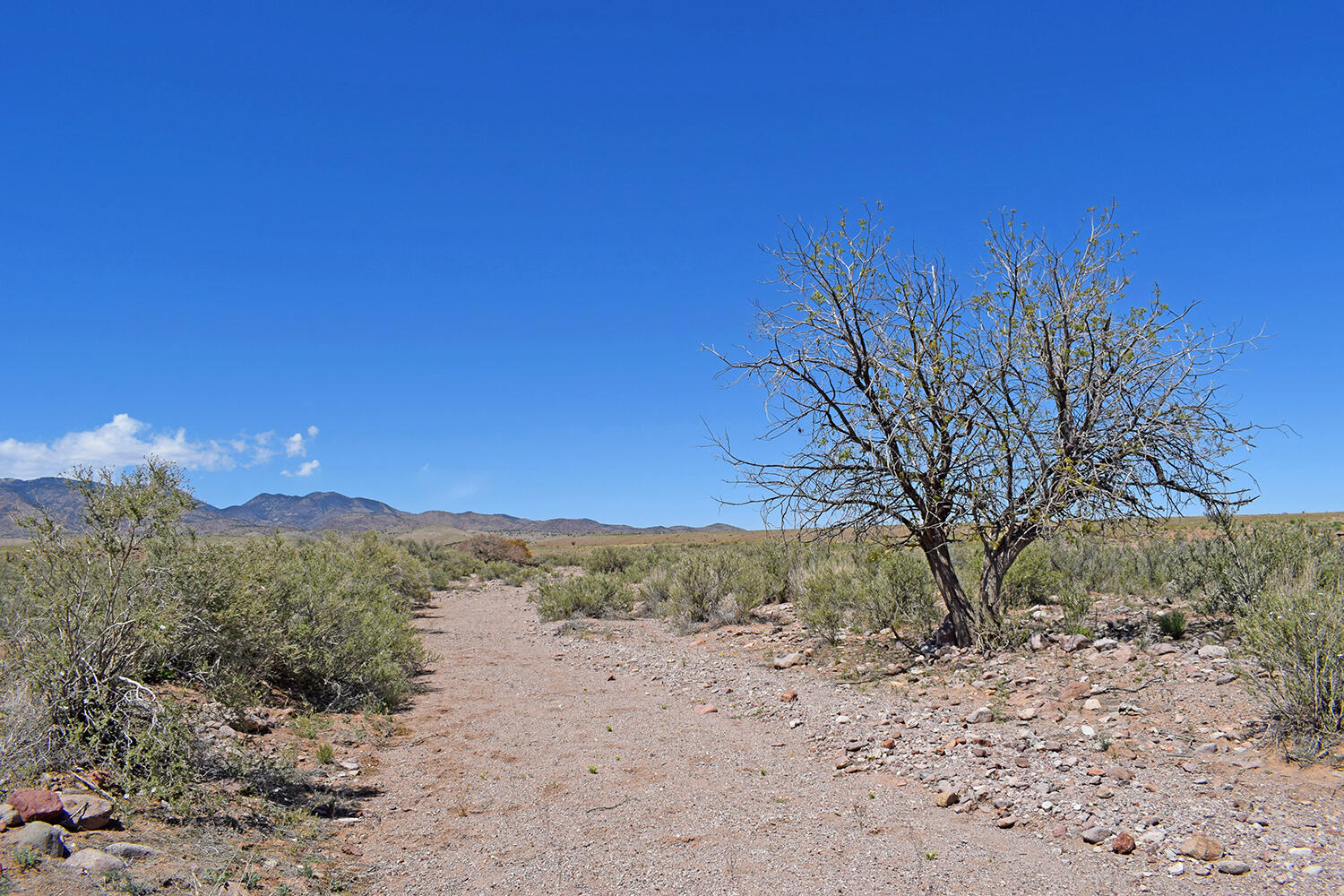 Photo 10 — Lot 141 Desert Highlands Road