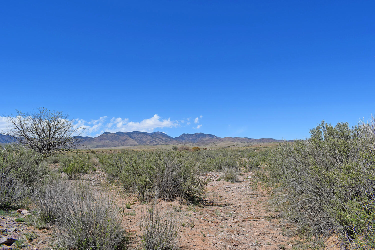 Photo 9 — Lot 141 Desert Highlands Road