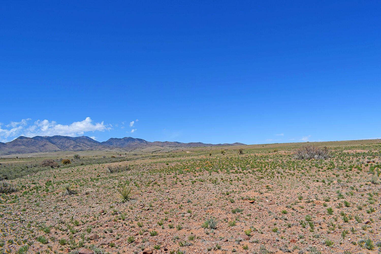 Photo 8 — Lot 141 Desert Highlands Road