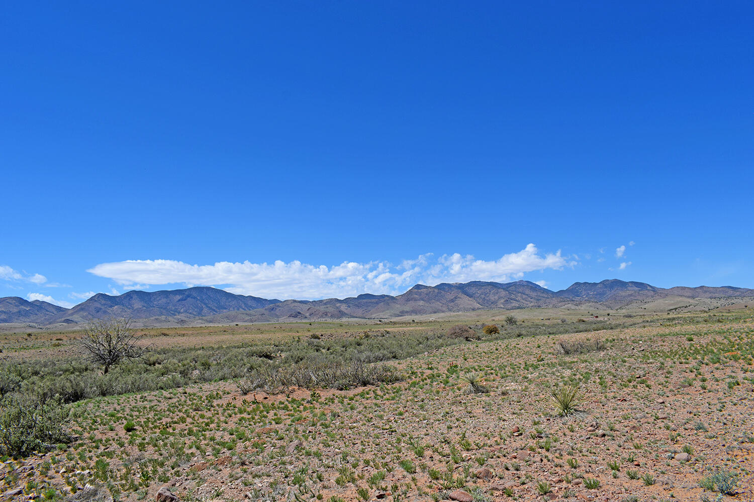 Photo 7 — Lot 141 Desert Highlands Road