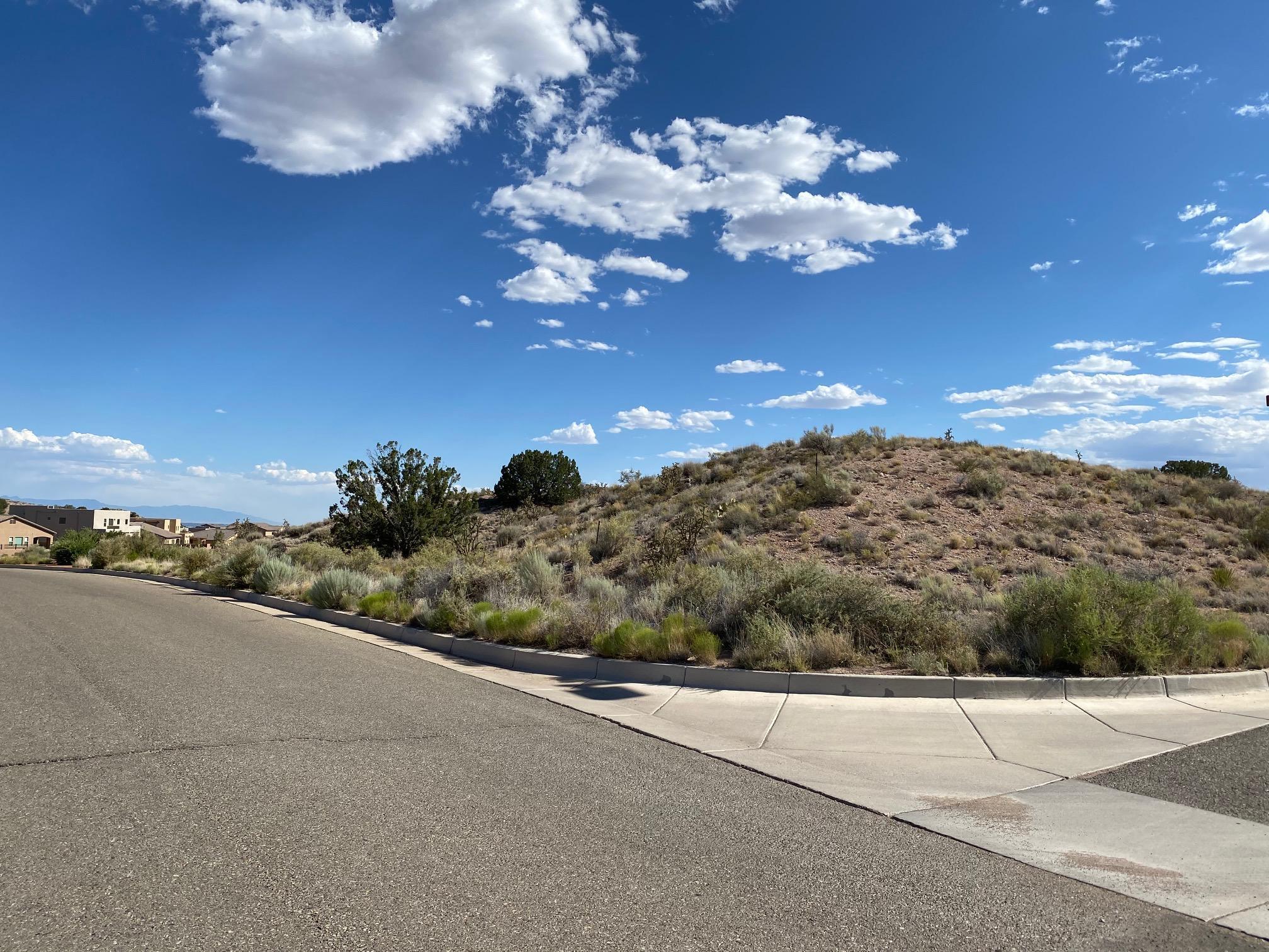 Photo 4 — 1720 Meadows Point Place NE